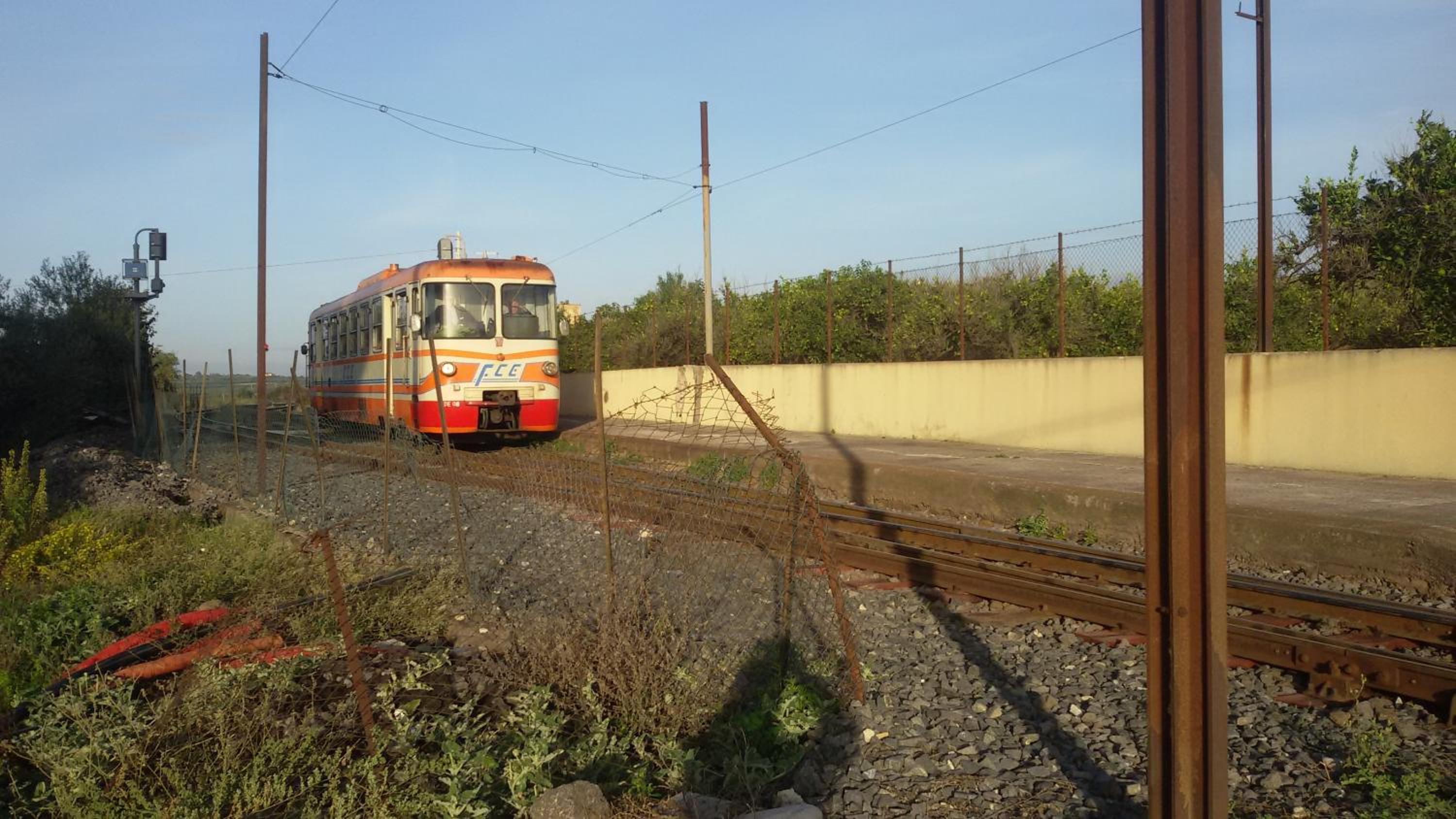 Photo 49