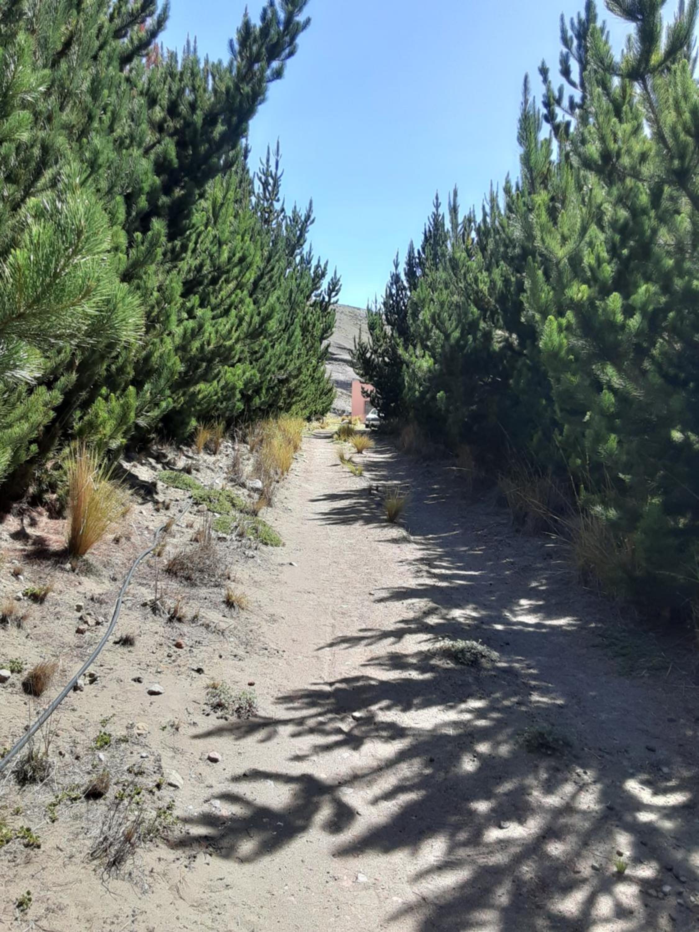Photo 21