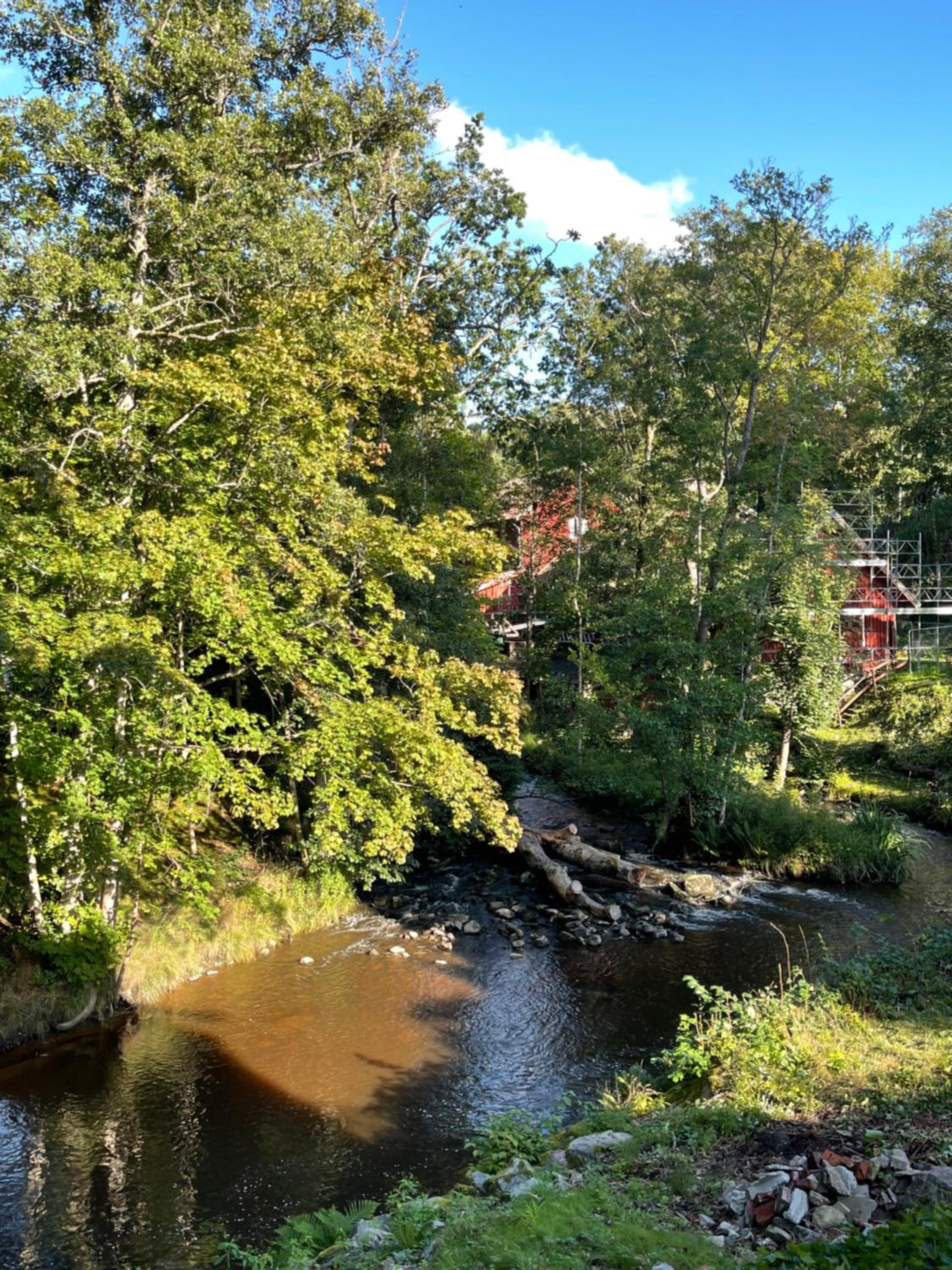 Forest house view 2