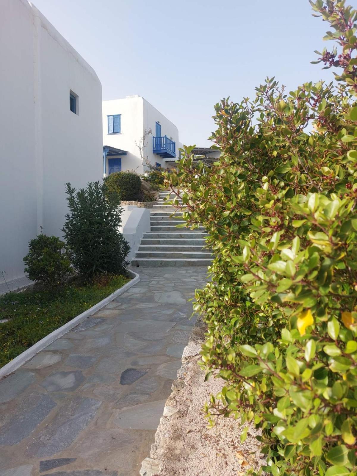 Traditionnal Mykonian Studio