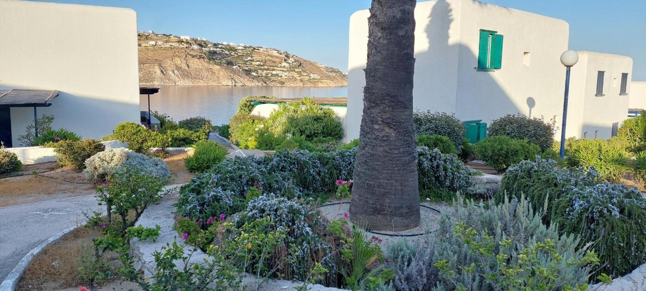 Traditionnal Mykonian Studio