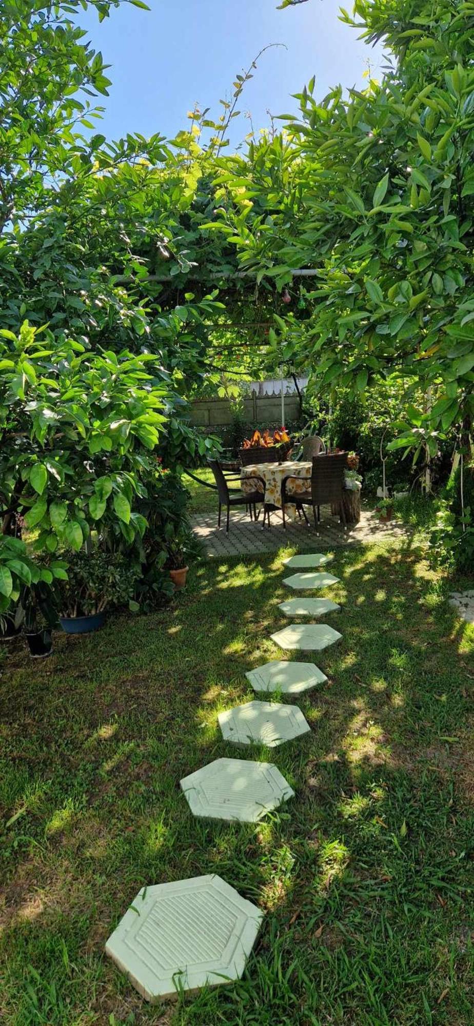 House of greenery