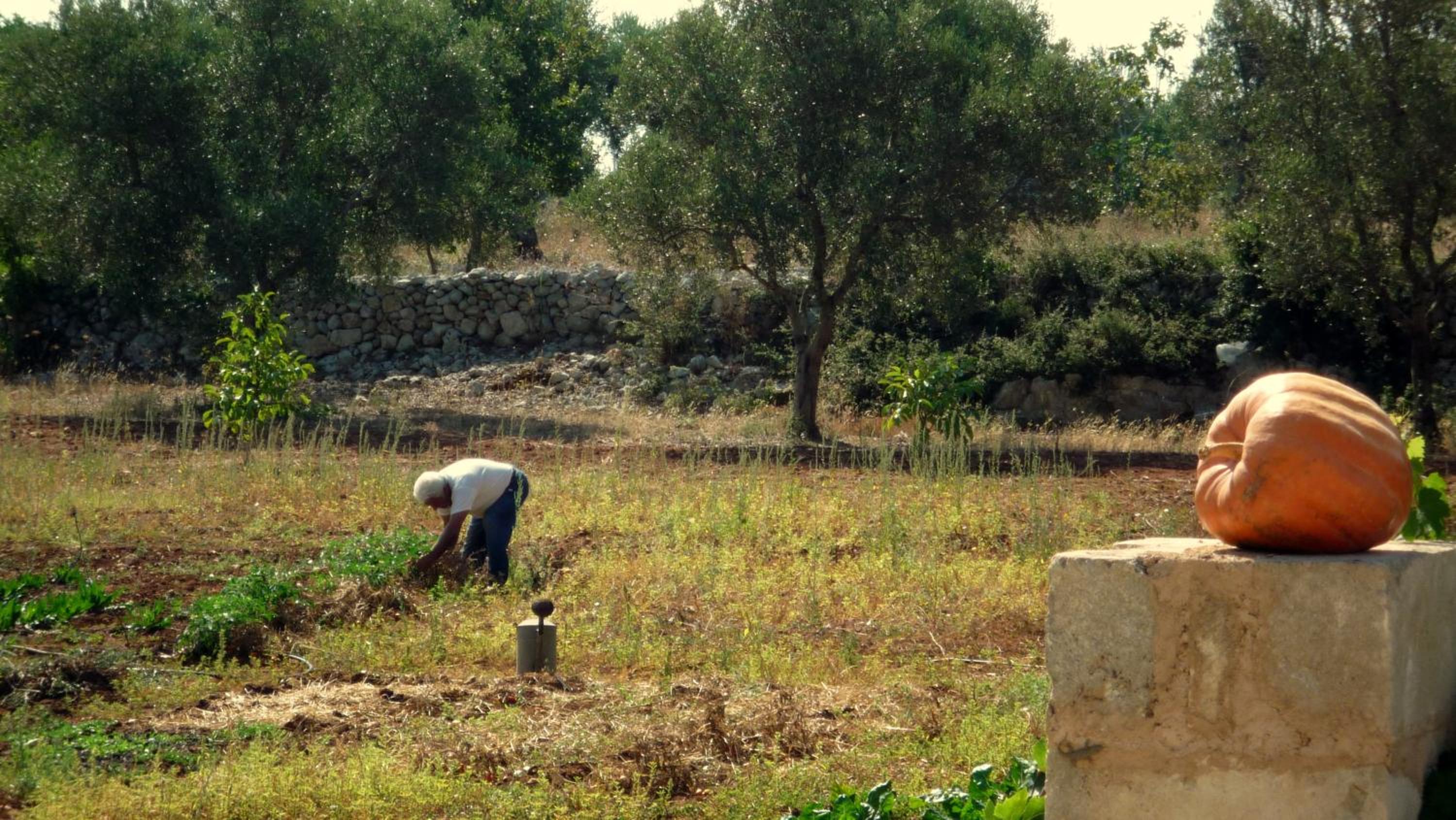 Masseria Uccio