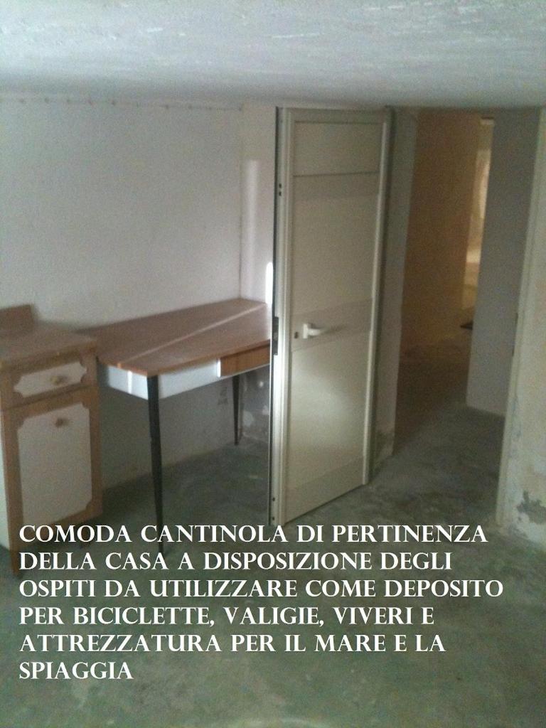 Photo 50