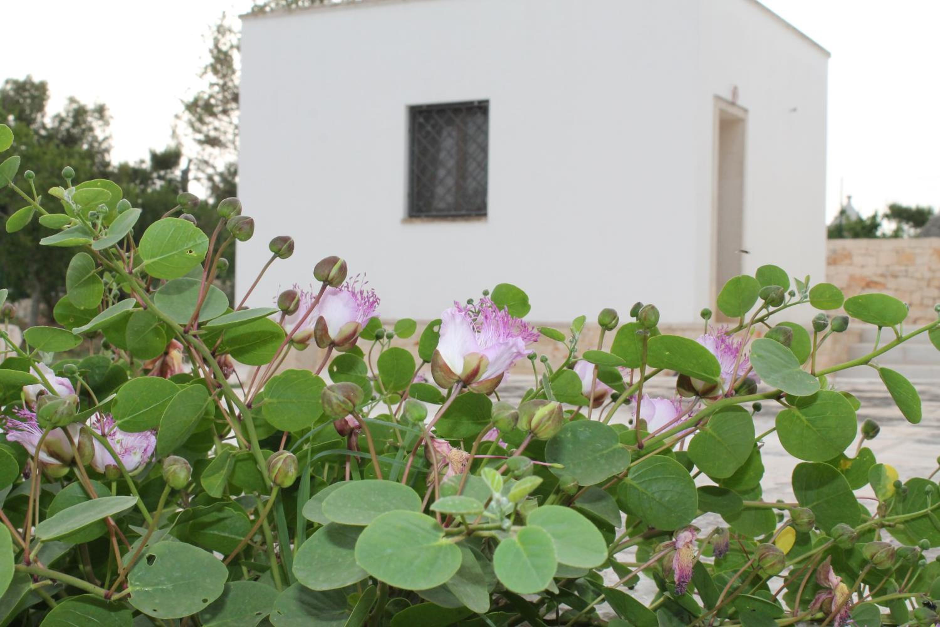 La pietra di Luca guest house view 2