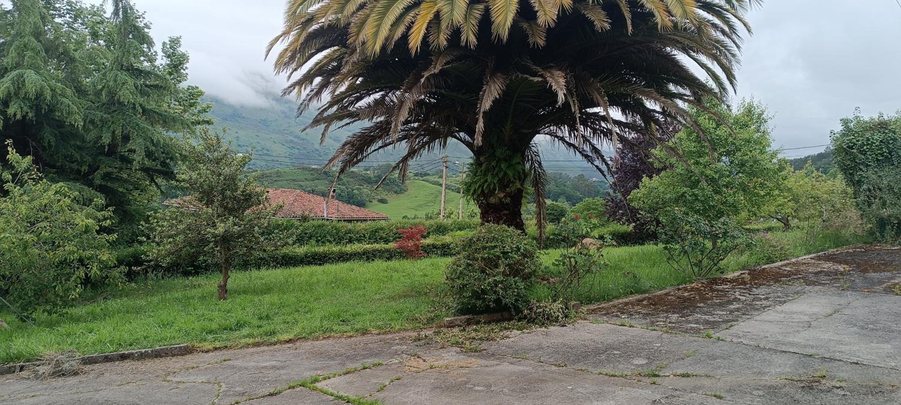 El Miruellu