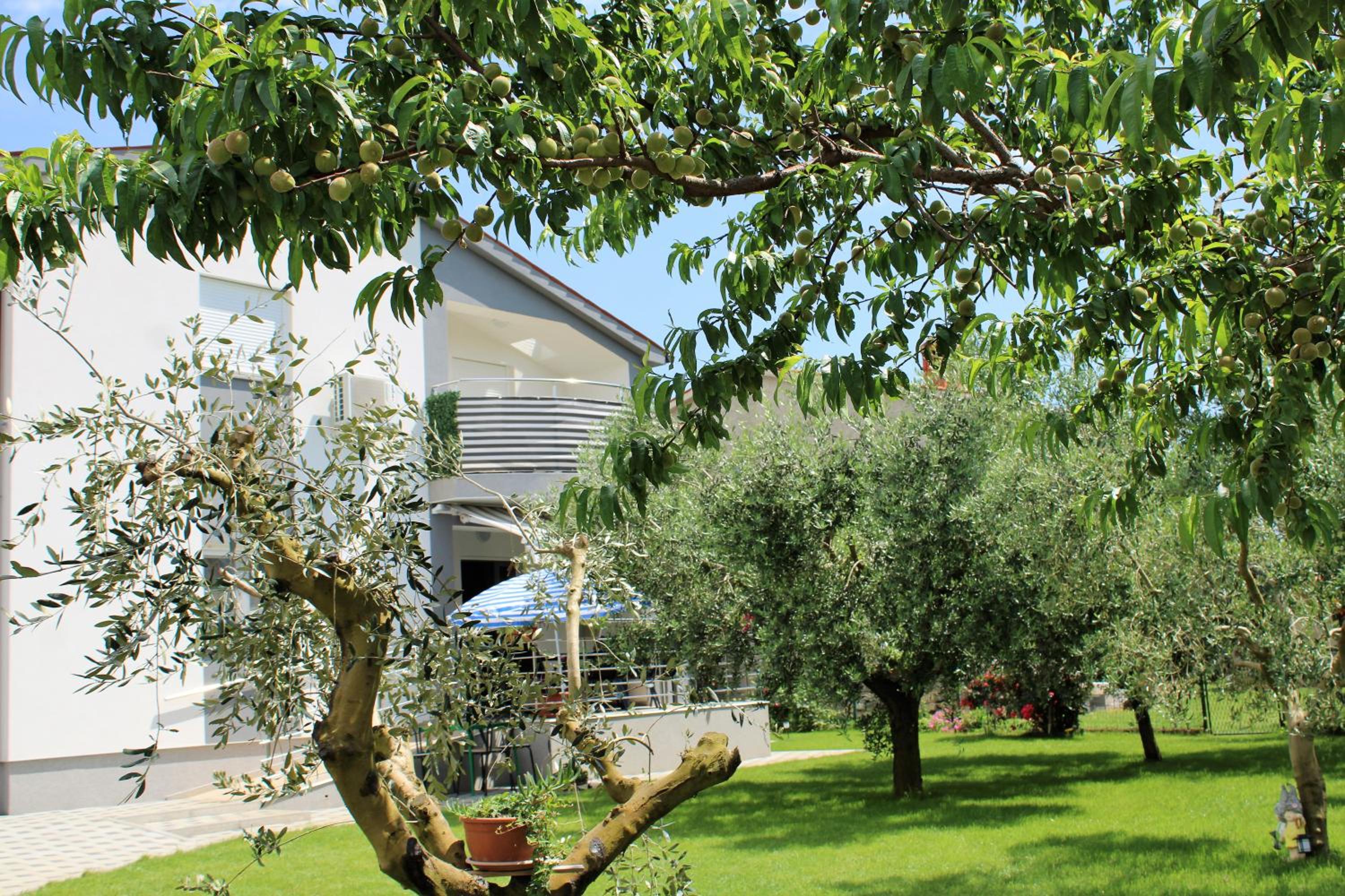 Apartments Nelle