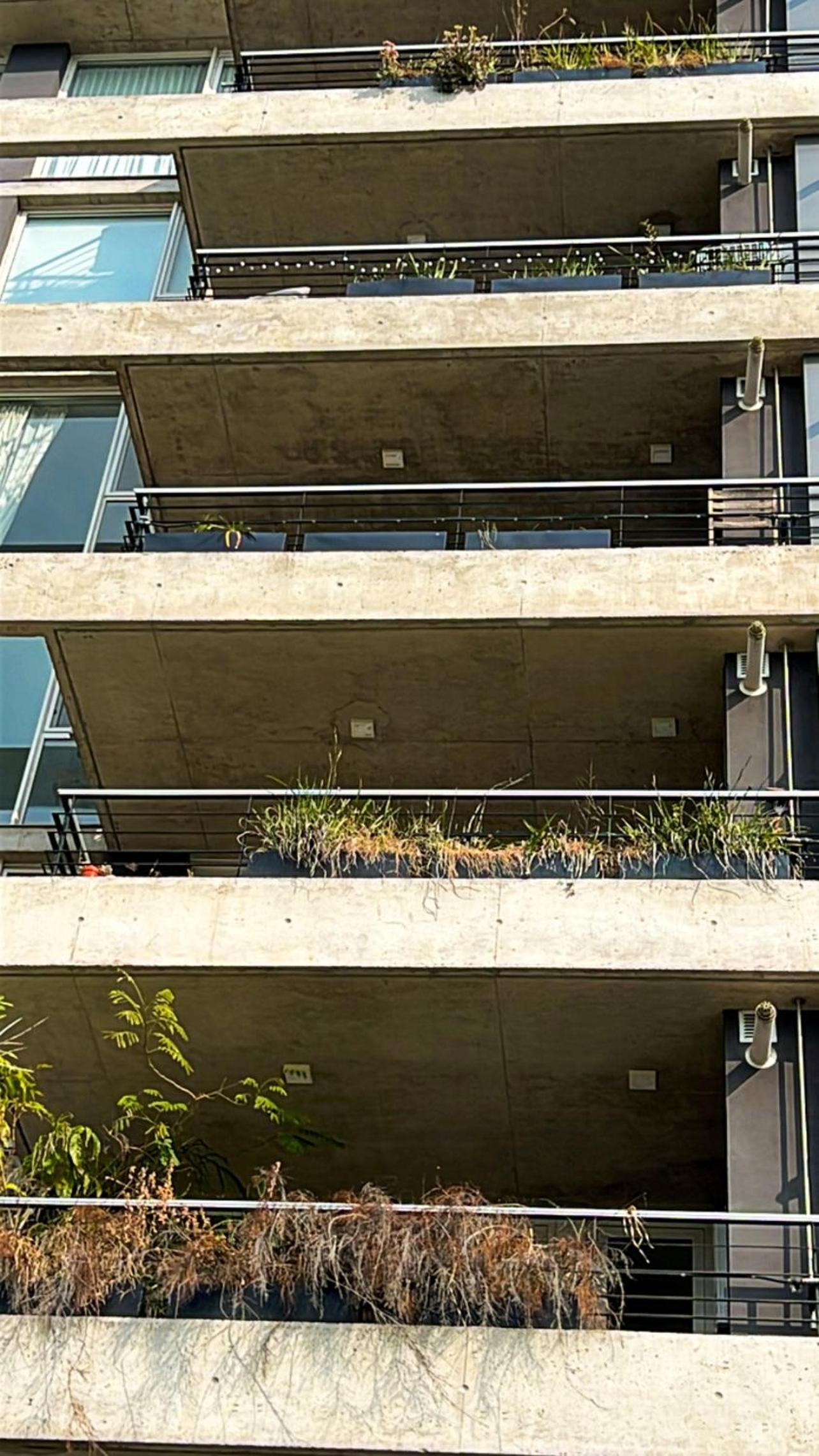 Edificio vista