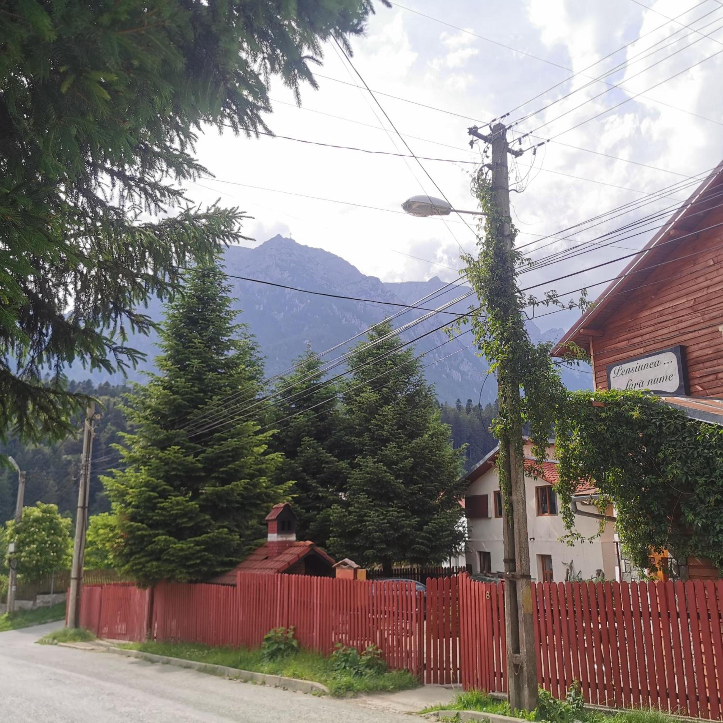 Photo 51