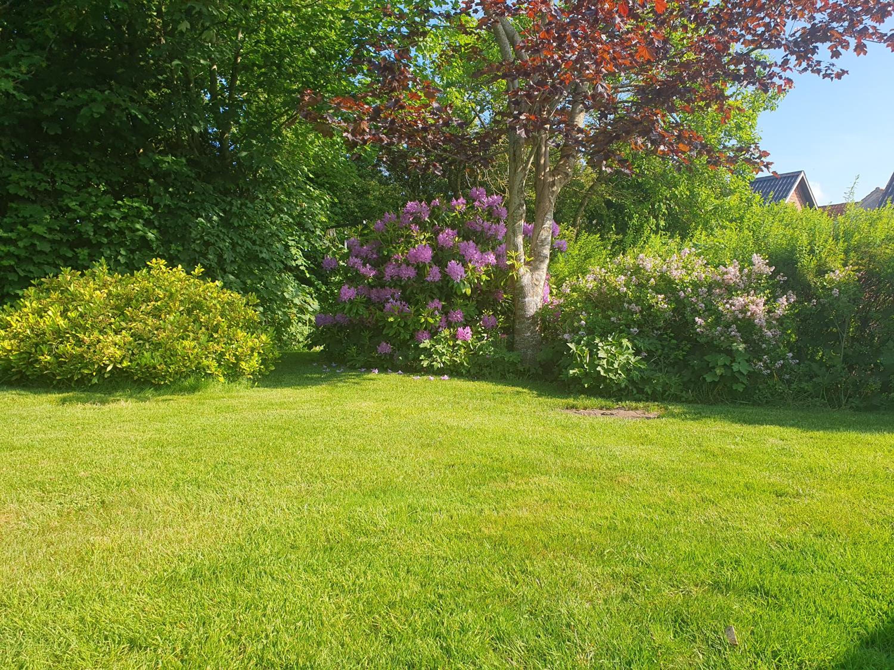 Villa i Henne