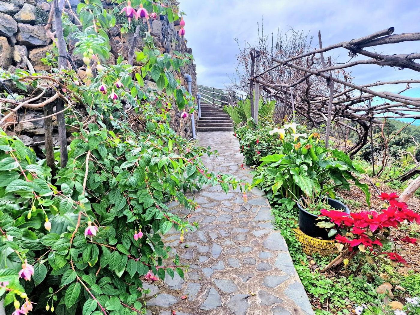 Mountain Rural House Teide Volcano by HRTenerife Net