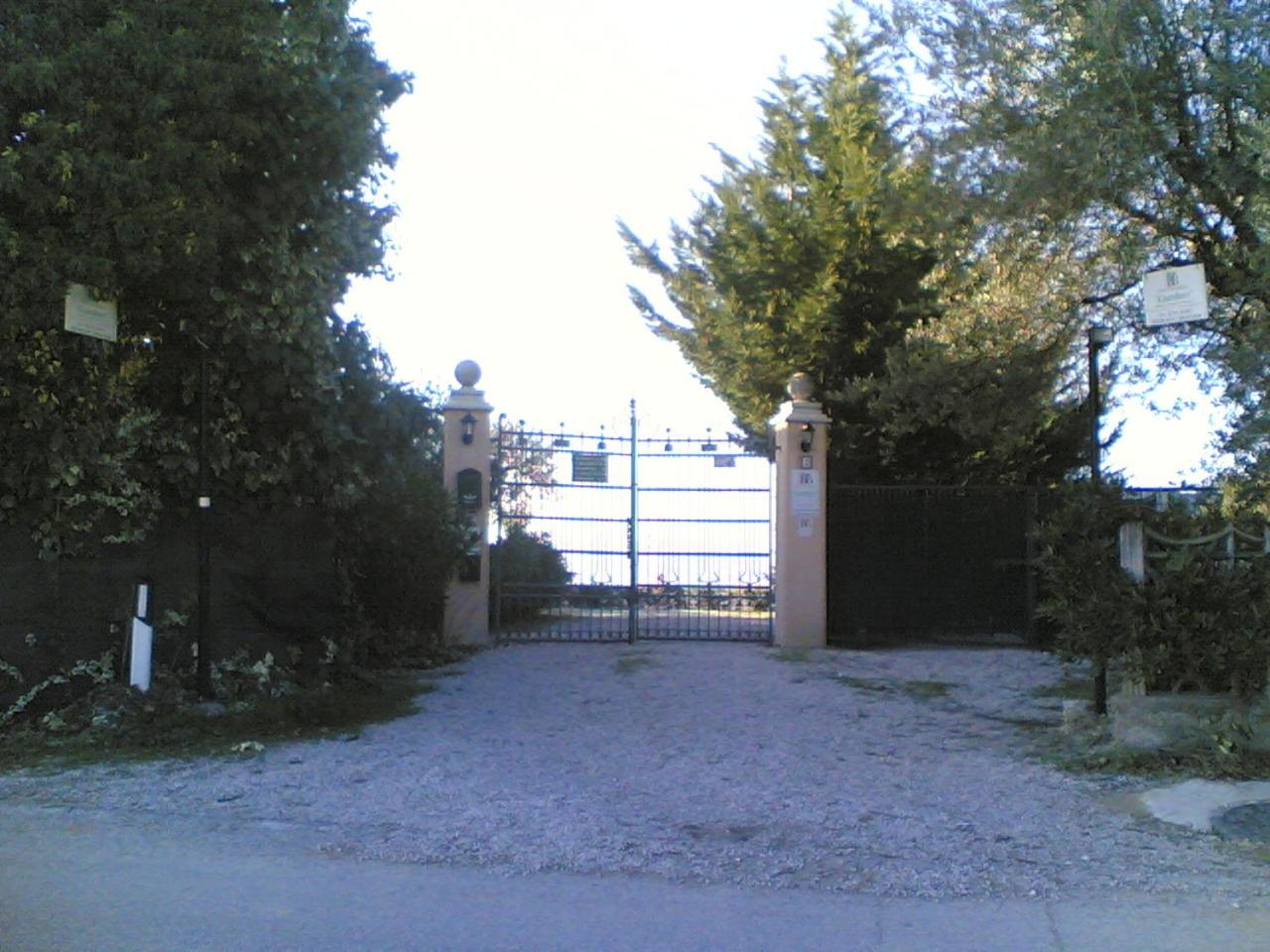 Photo 51