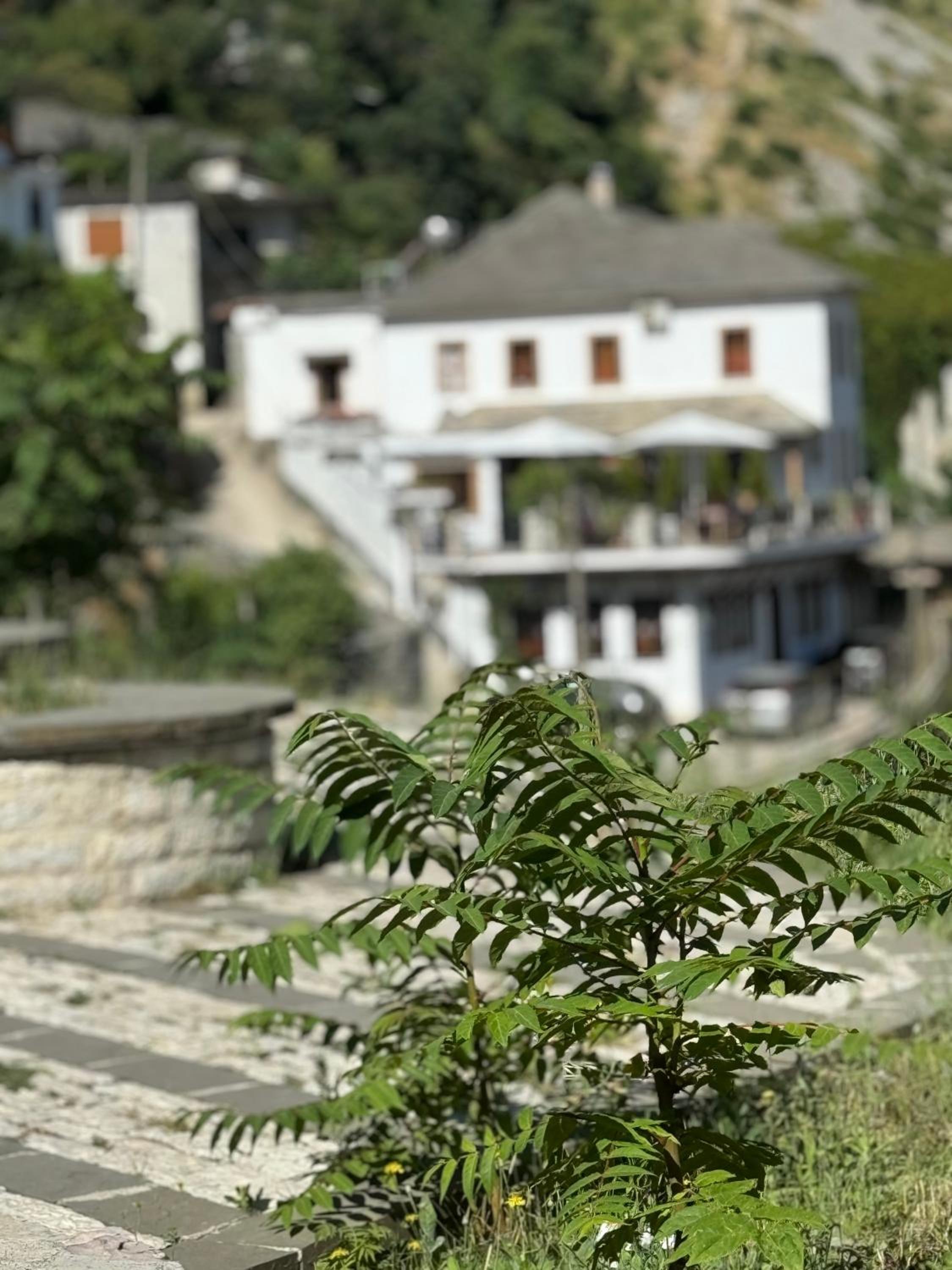 Hotel Castle Hotel - Image 1