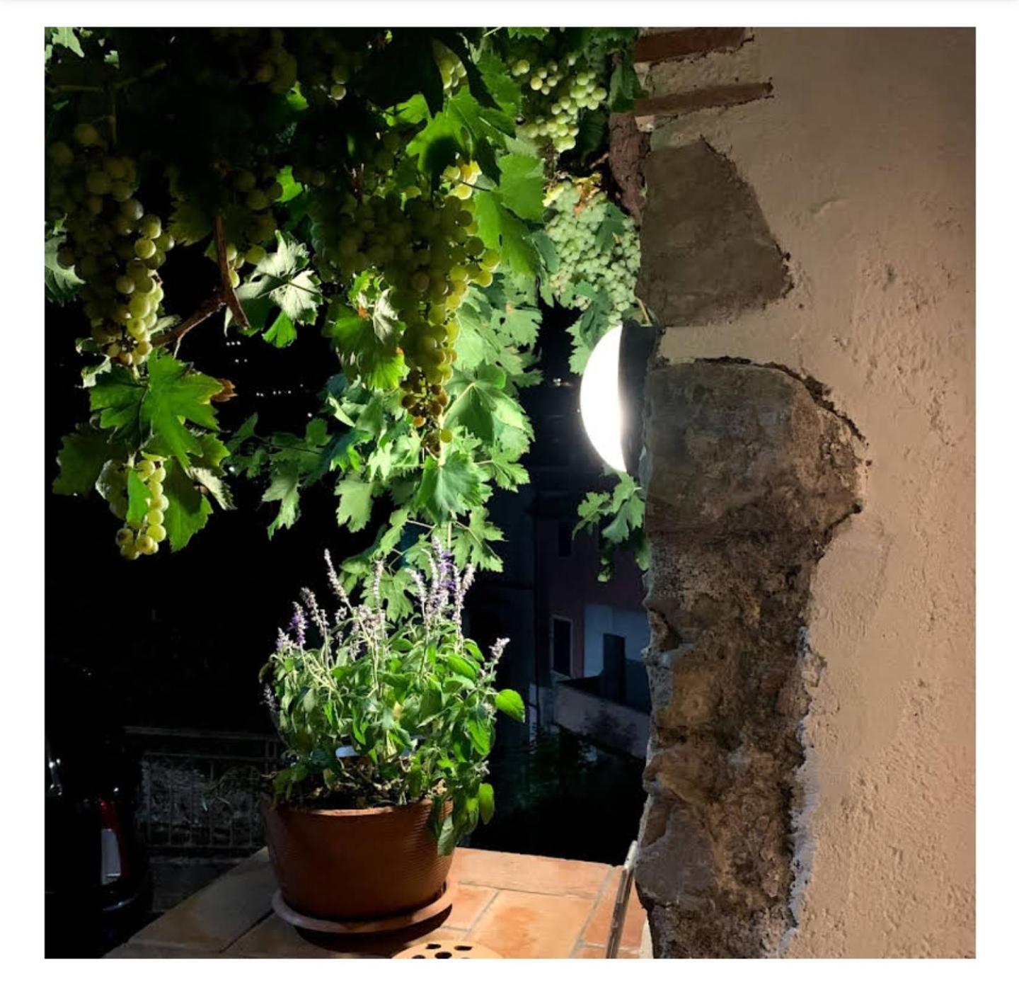 La dolce vite photo 3