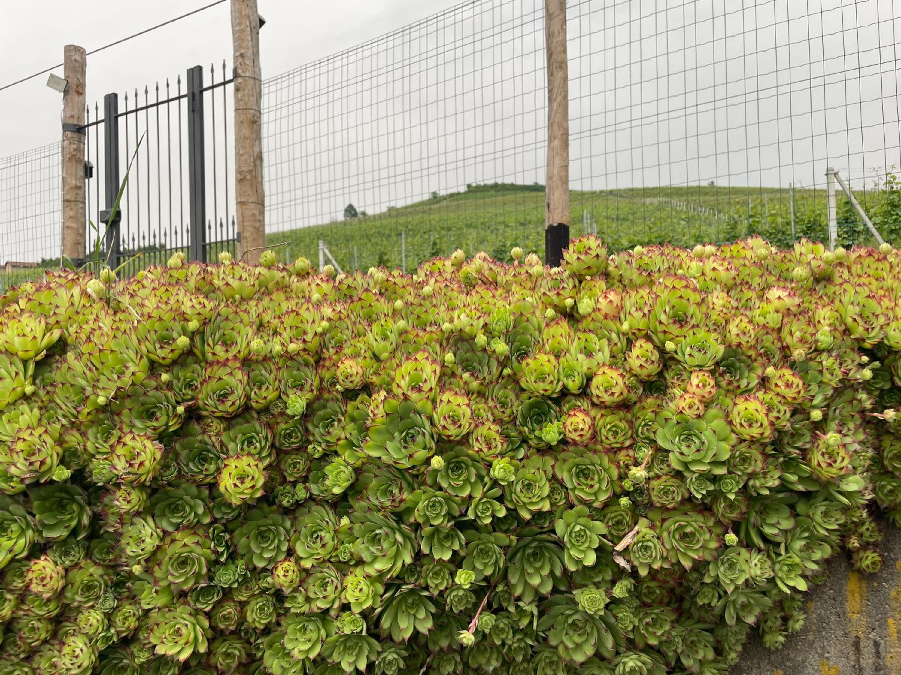 Cascina Mabette