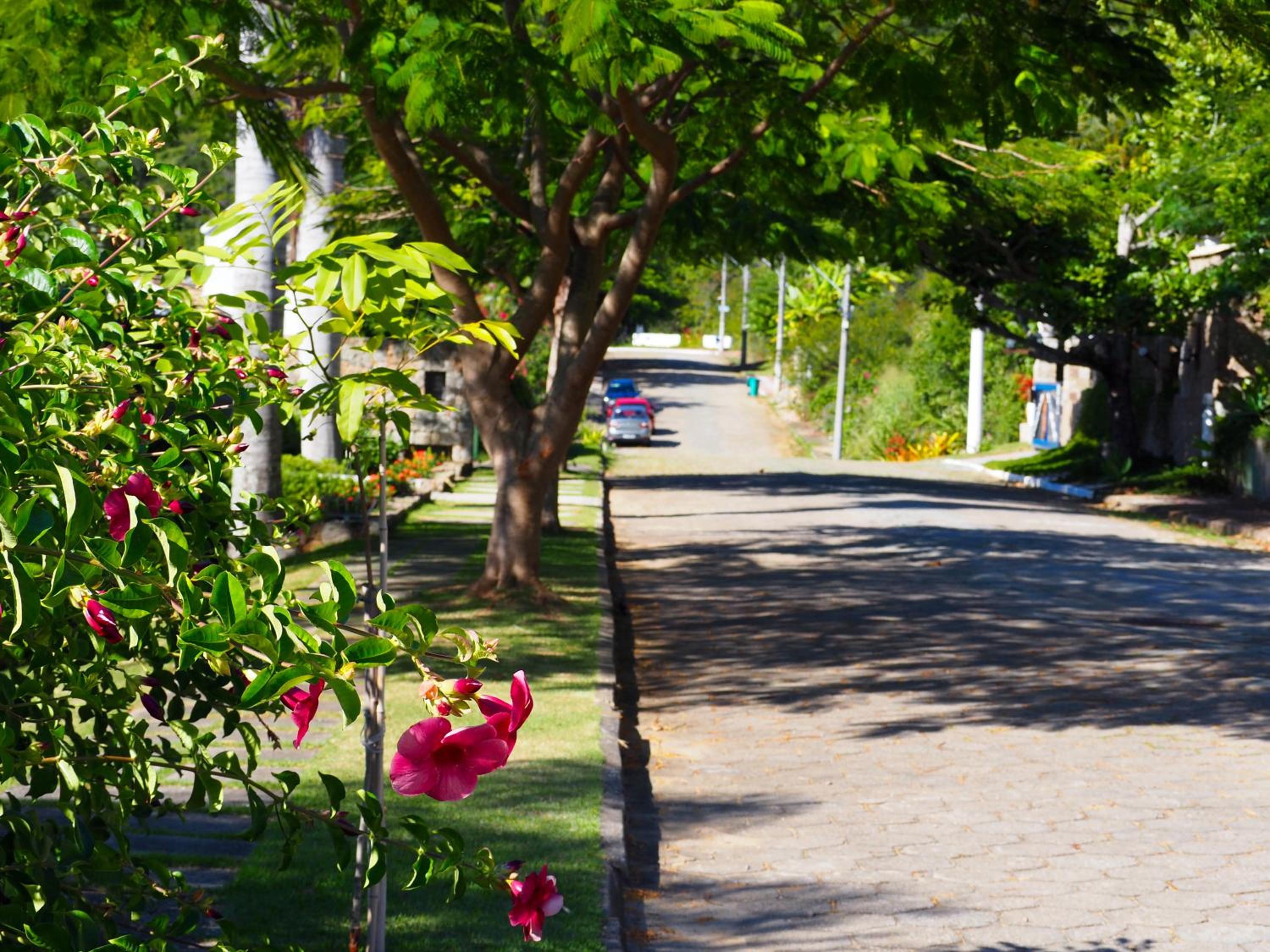 Casa Klee Vista Mar Praia Brava Florianopolis