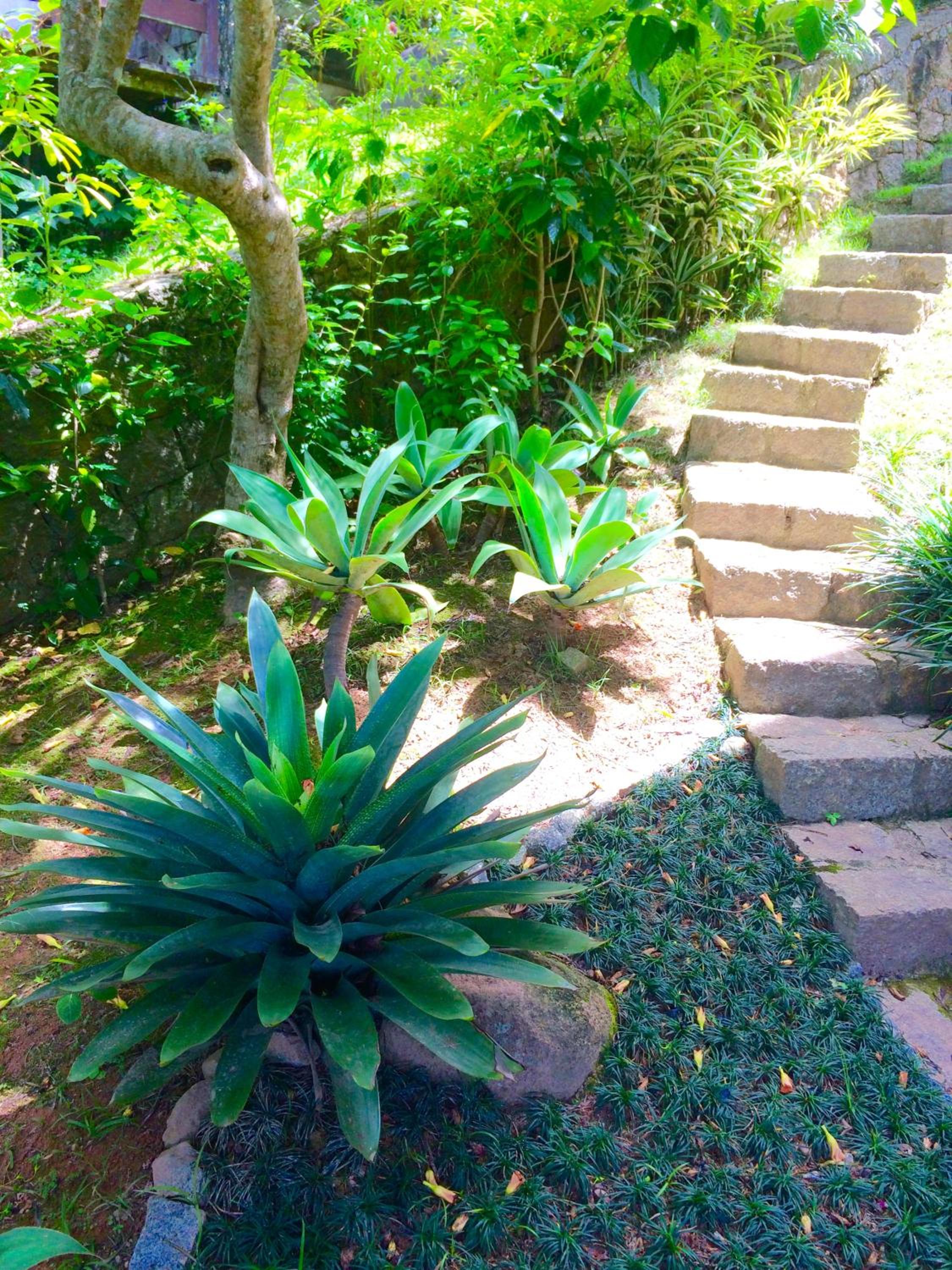 Casa Klee Vista Mar Praia Brava Florianopolis