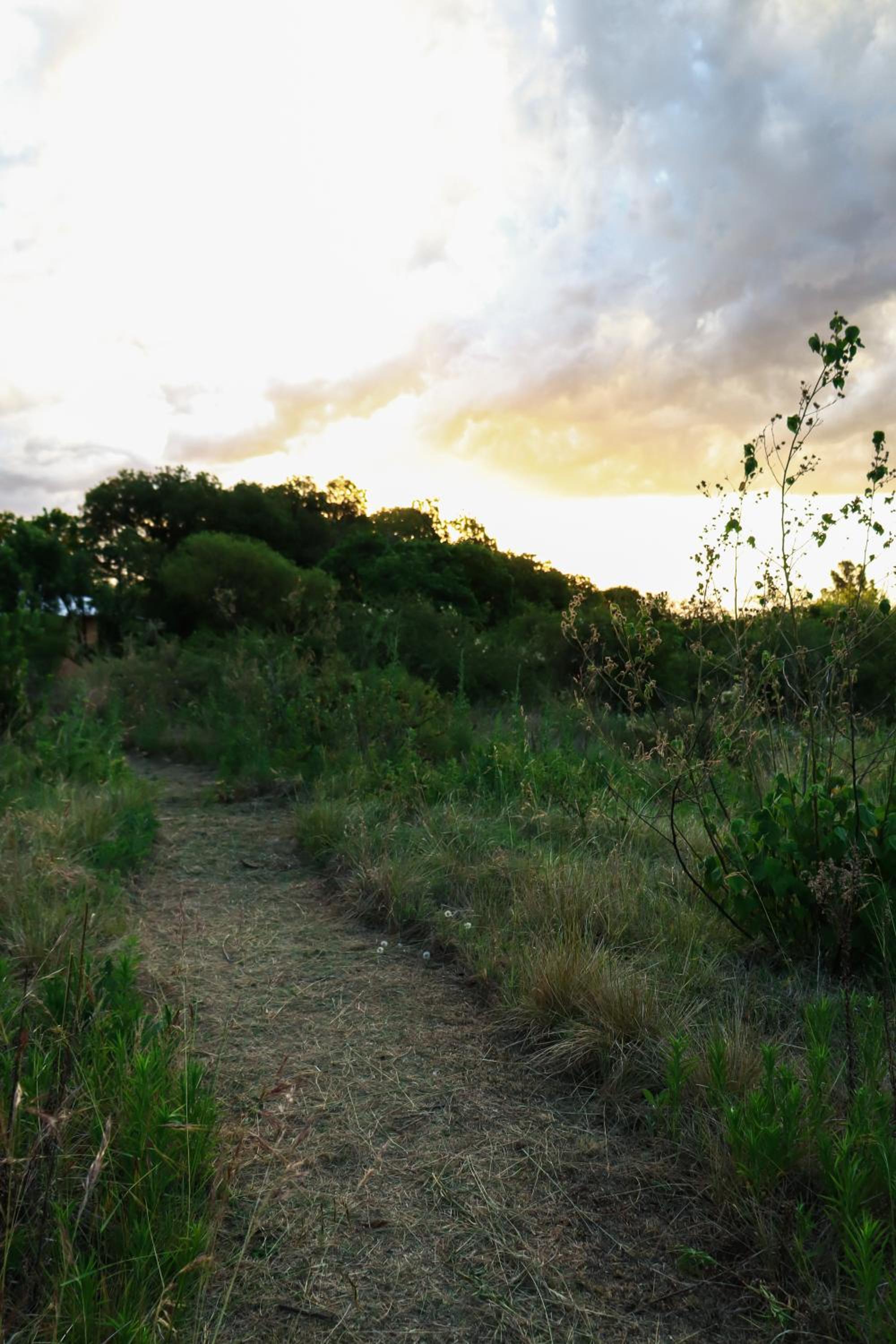 Incayuyo Cabañas