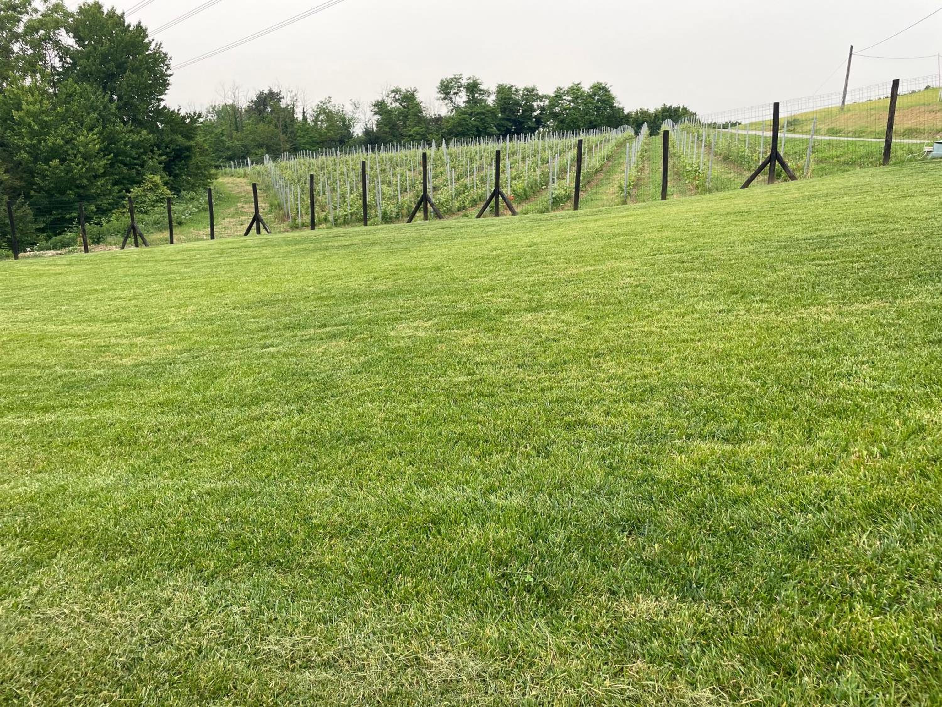 Cascina Mabette