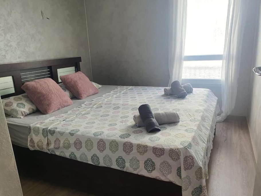 Apartmán Carmen Denia