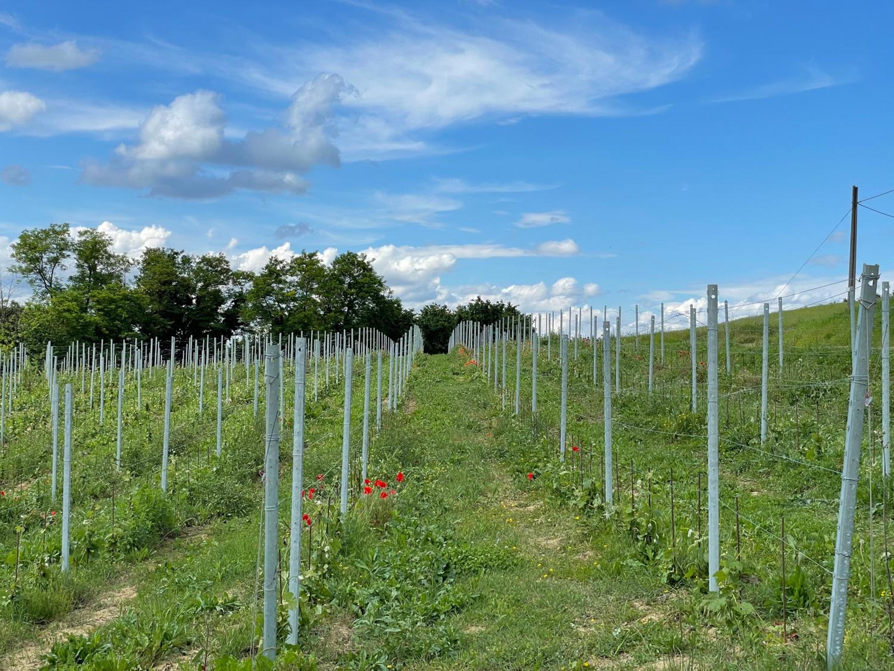 Cascina Mabette