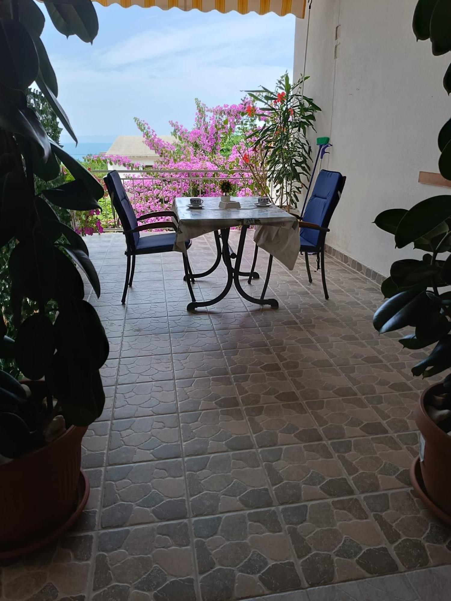 Apartments Turic