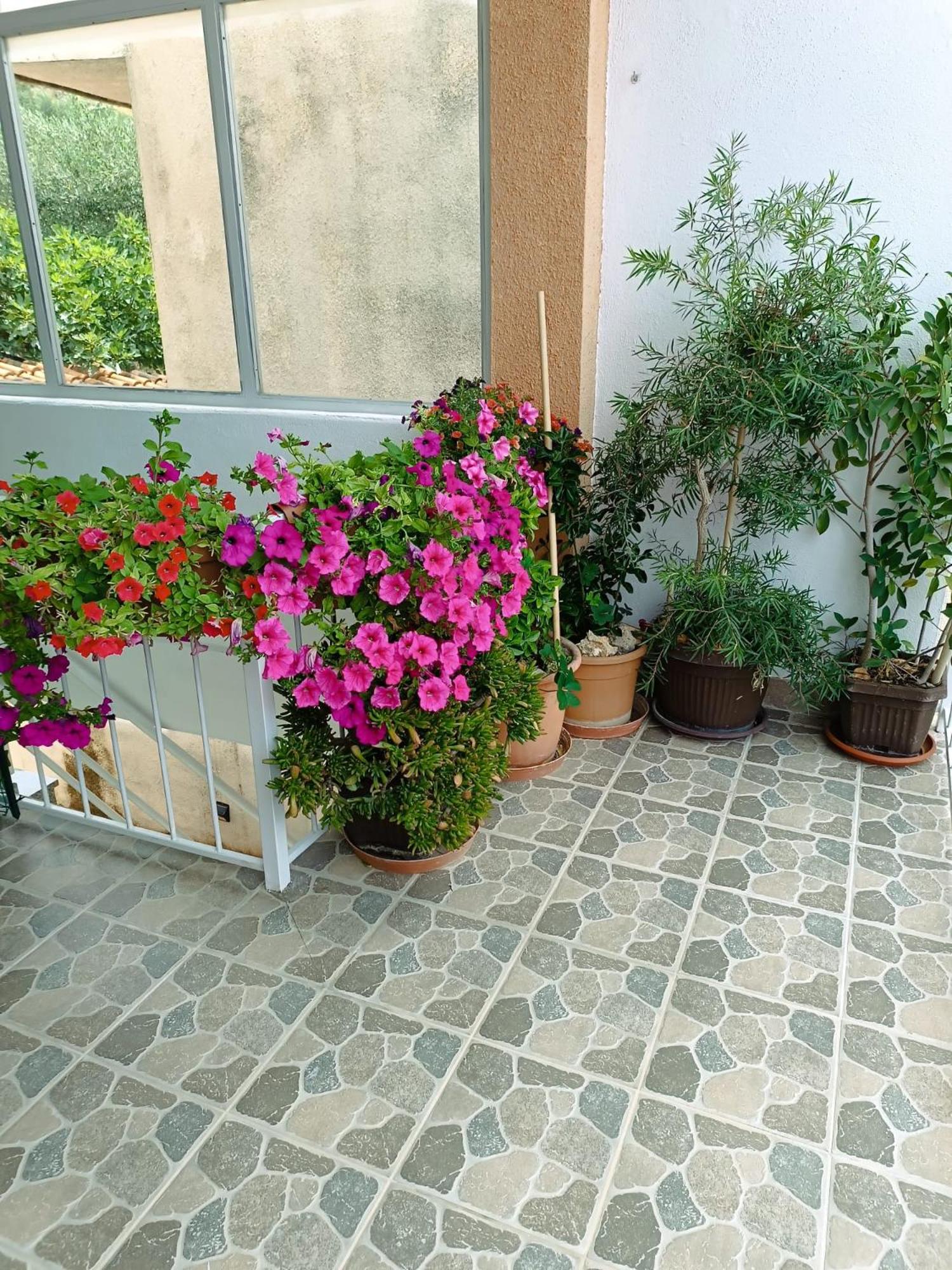 Apartments Turic