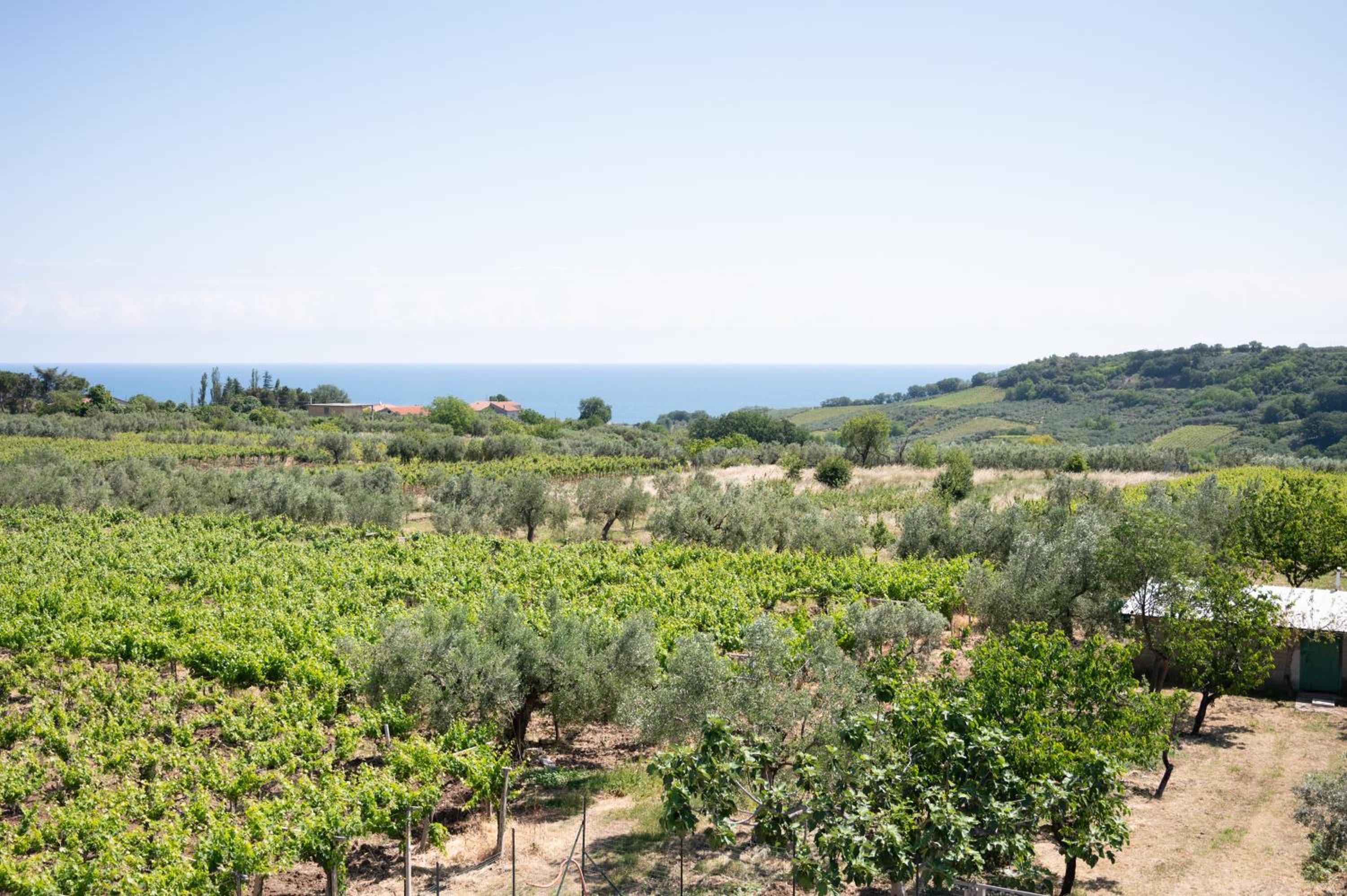 Villa Costa dei Trabocchi Ortona - Sea view view 2