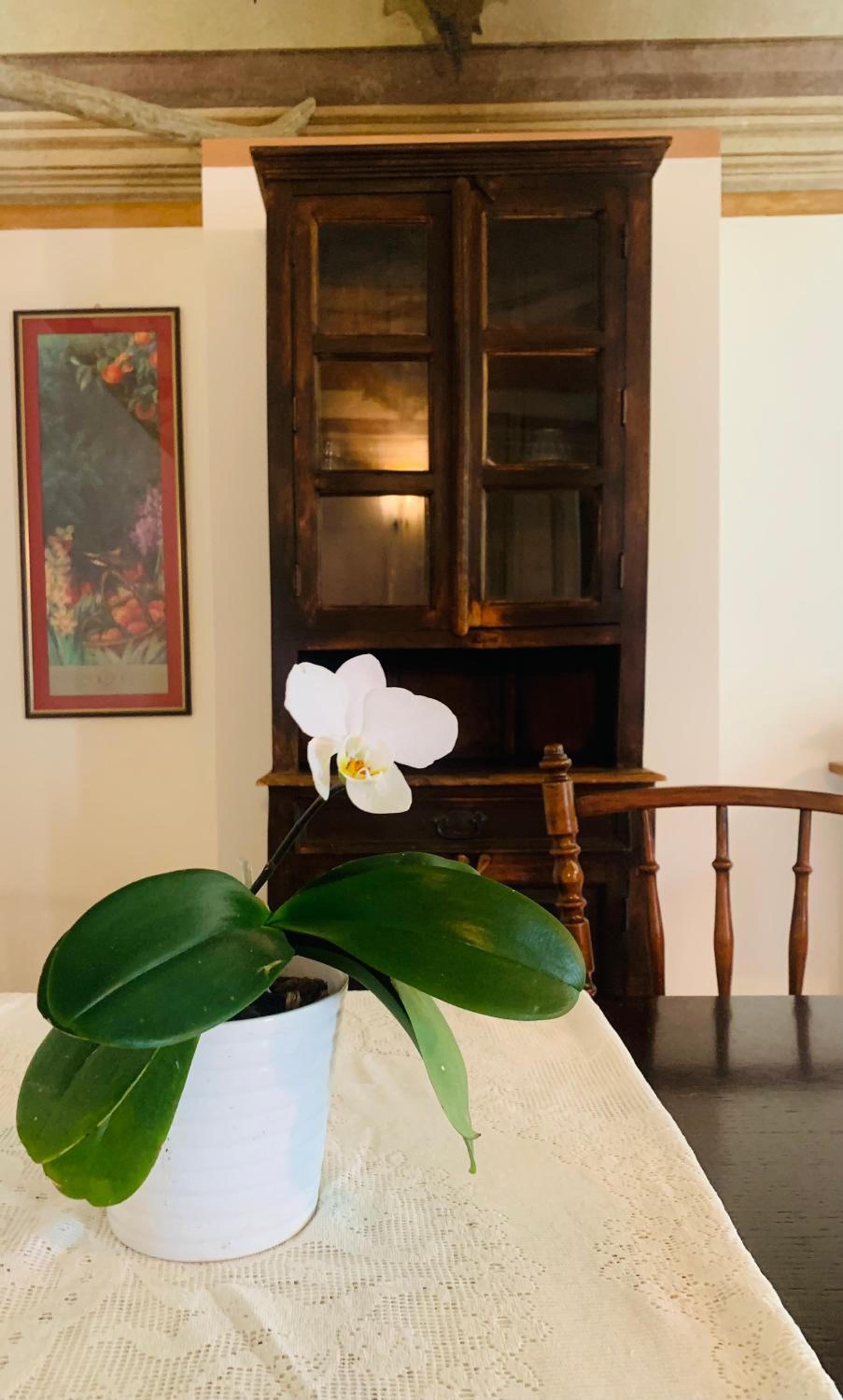 Cascina Ambrosia Residenza d'Epoca view 2