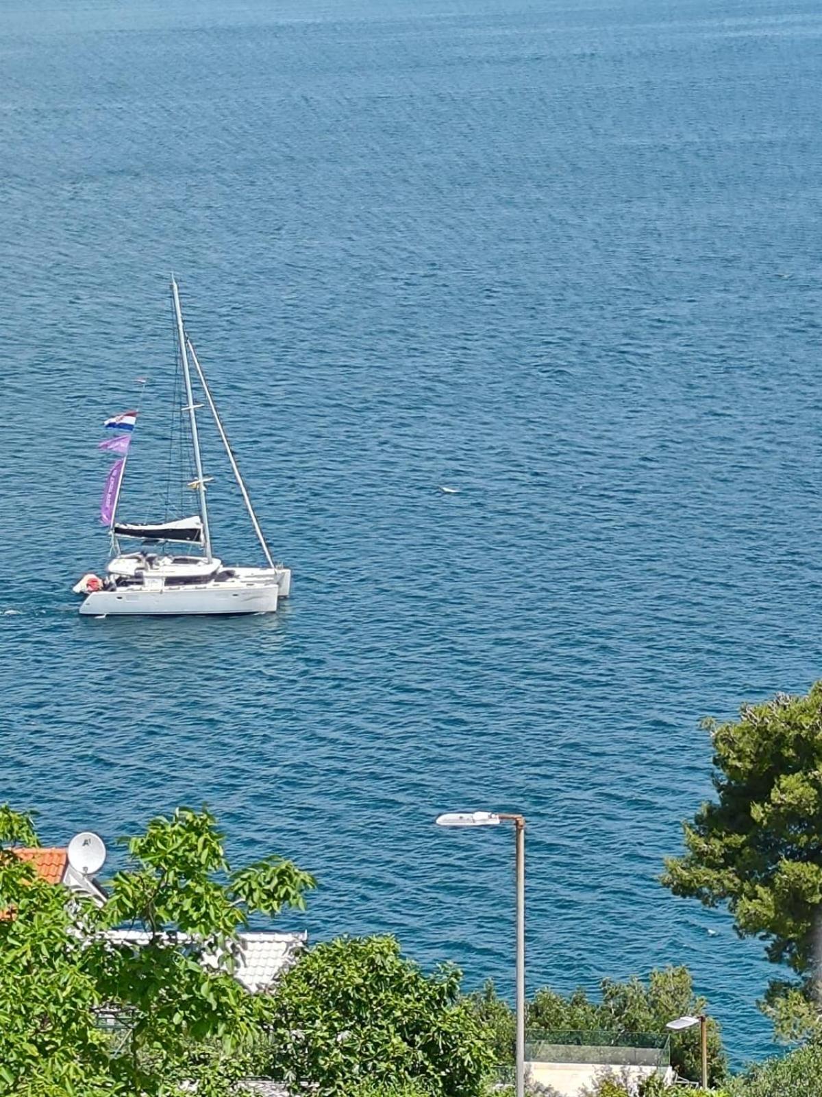 Apartmani Roko