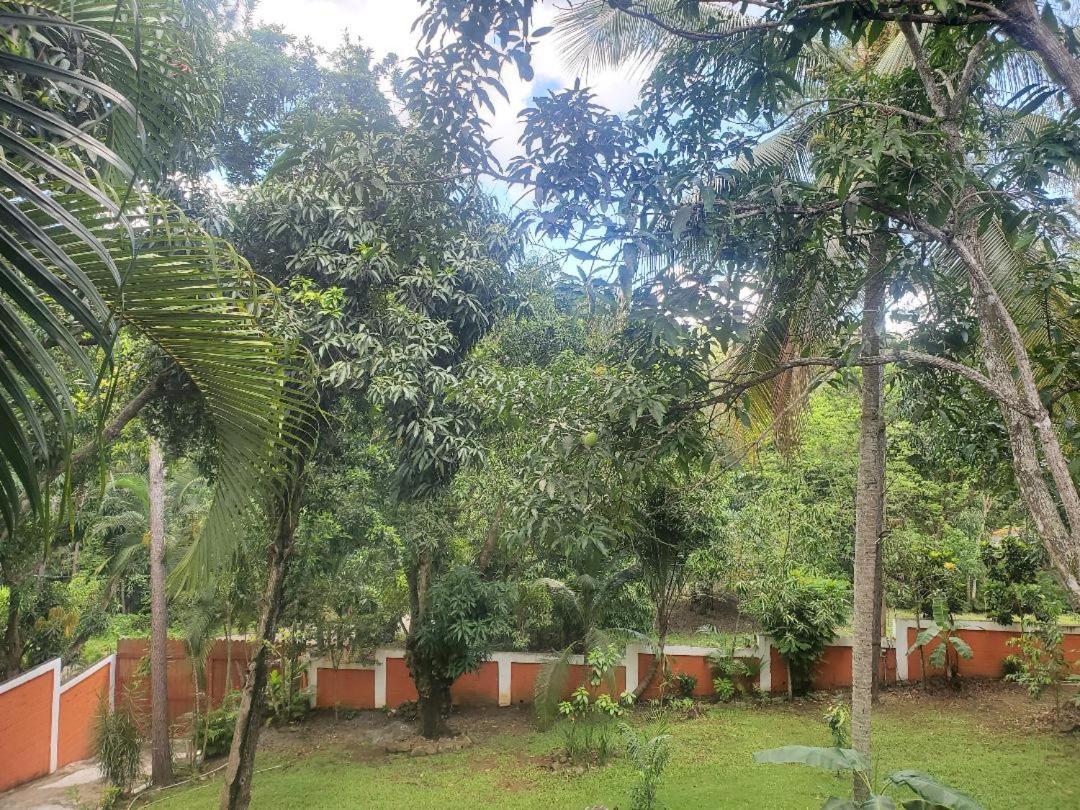 villa mariposa