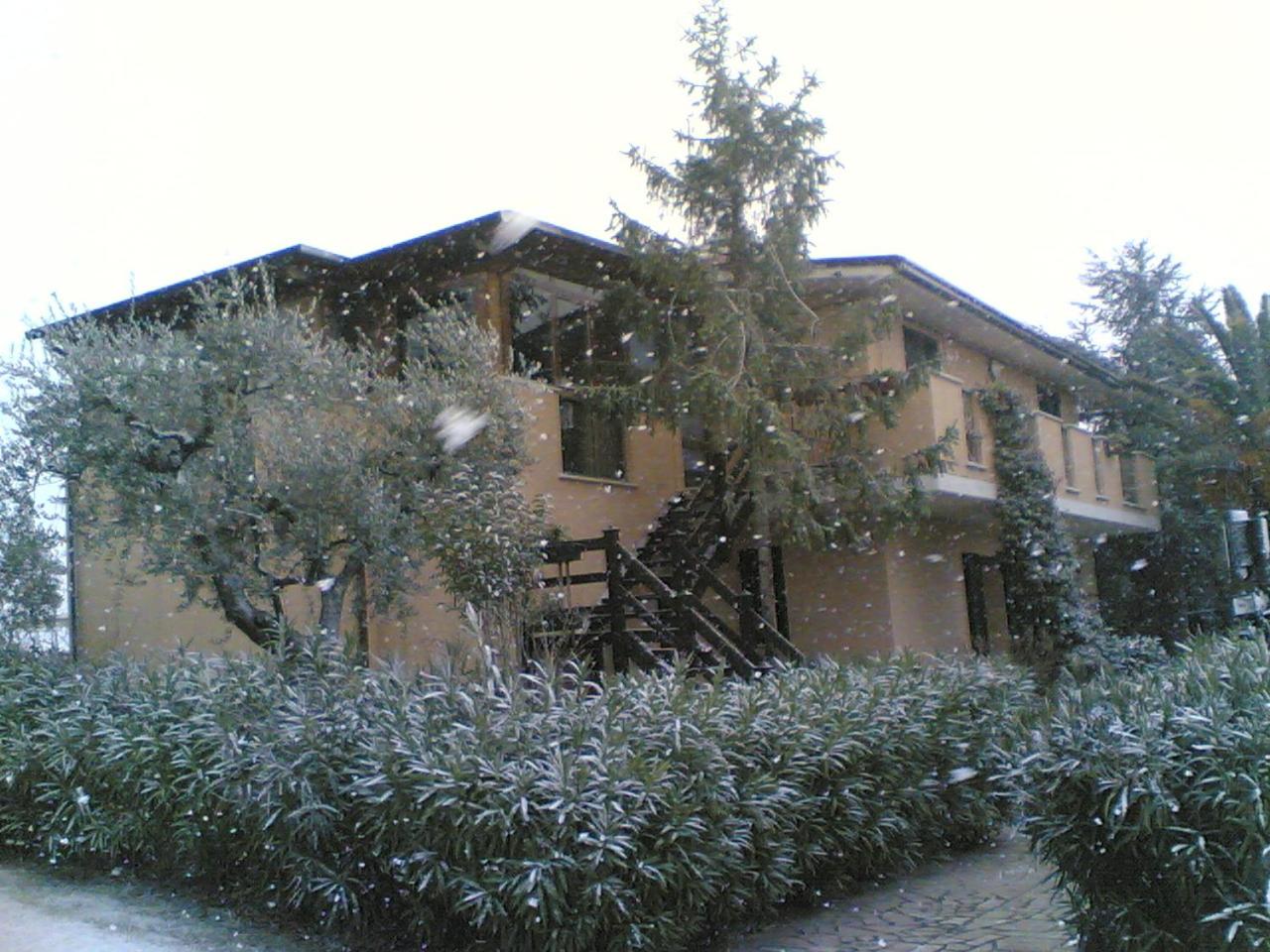 Photo 41