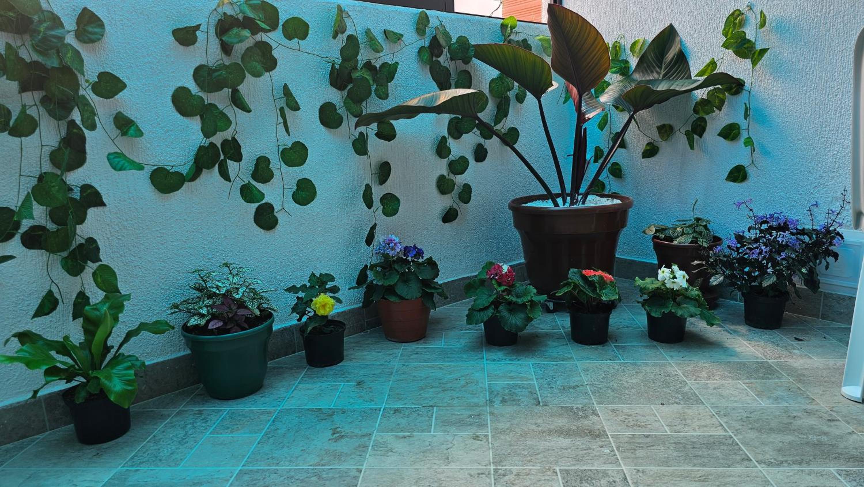 Casa vacacional Estadía Primaveral