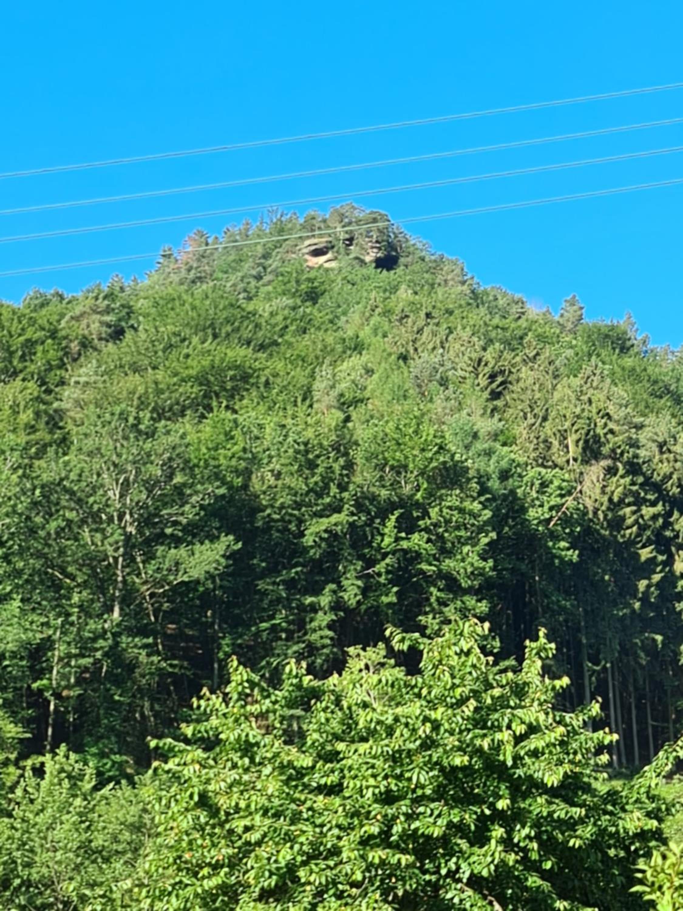 Ferienwohnung Jungpfalzstieg