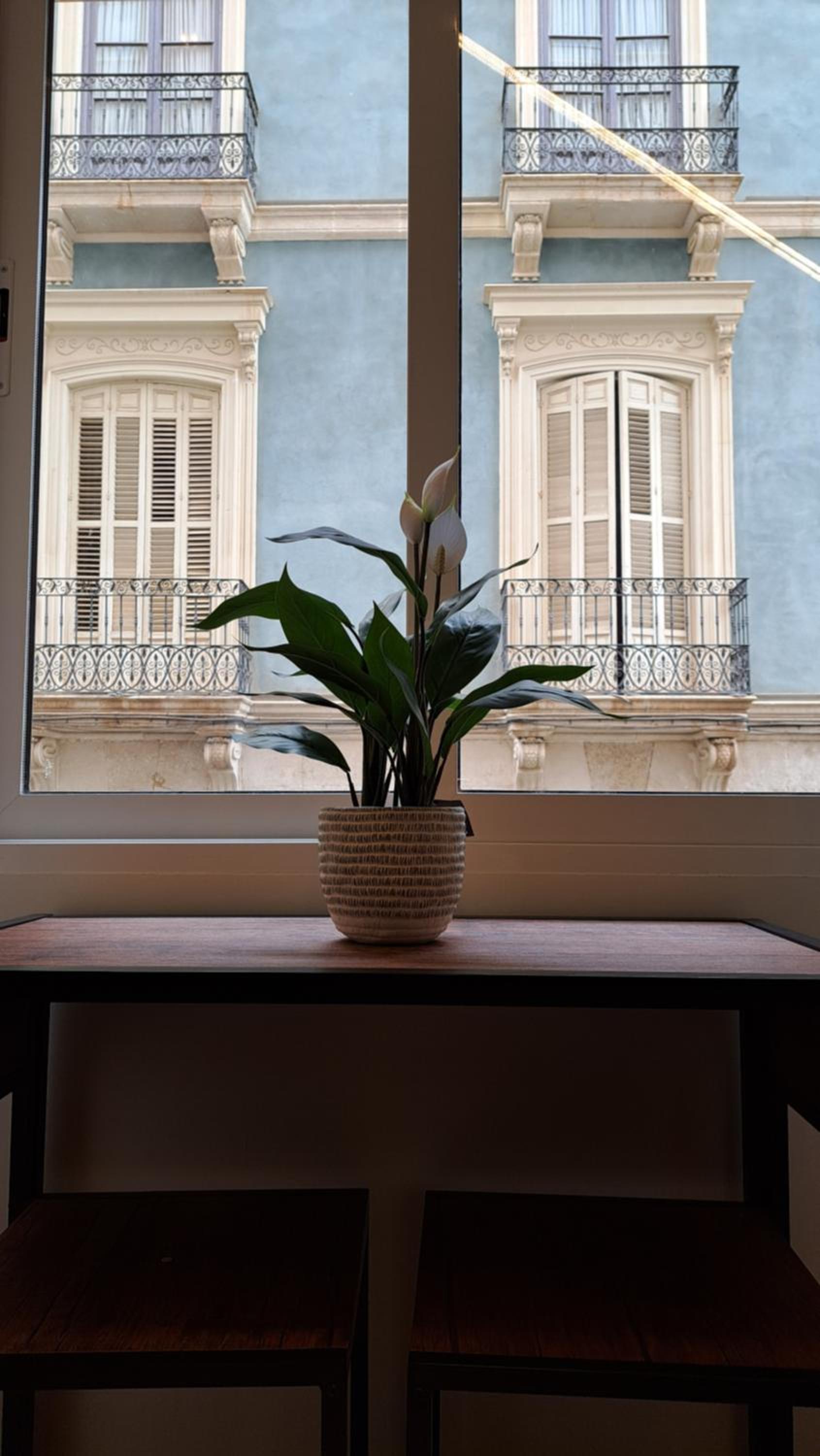 Historic Seaside Elegance Apartment