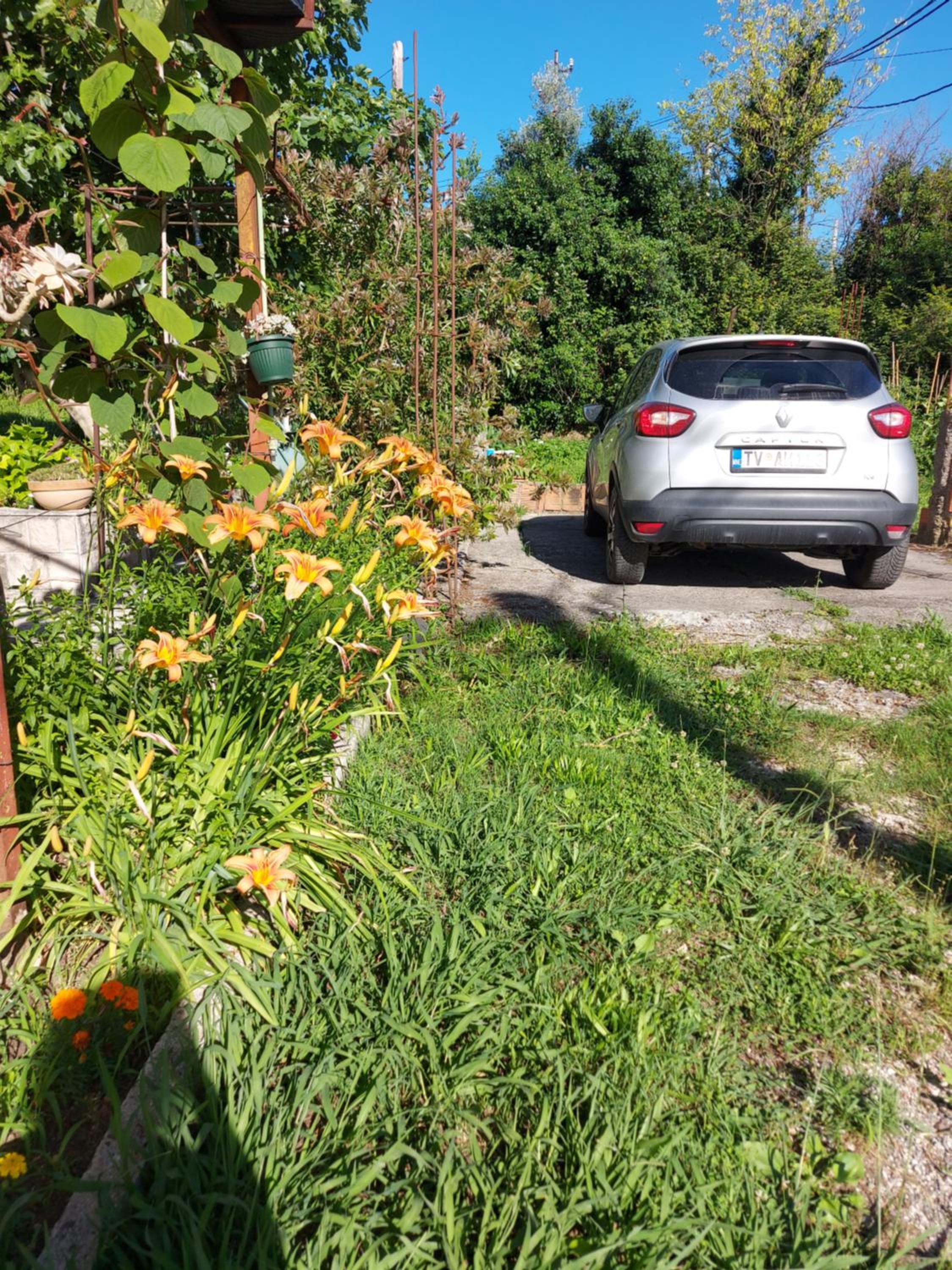 parking