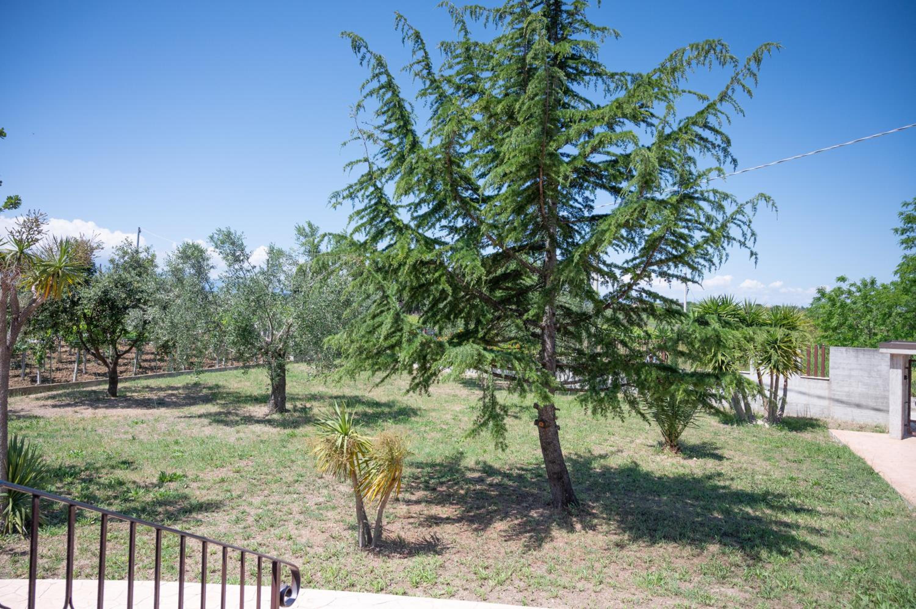 Photo 23