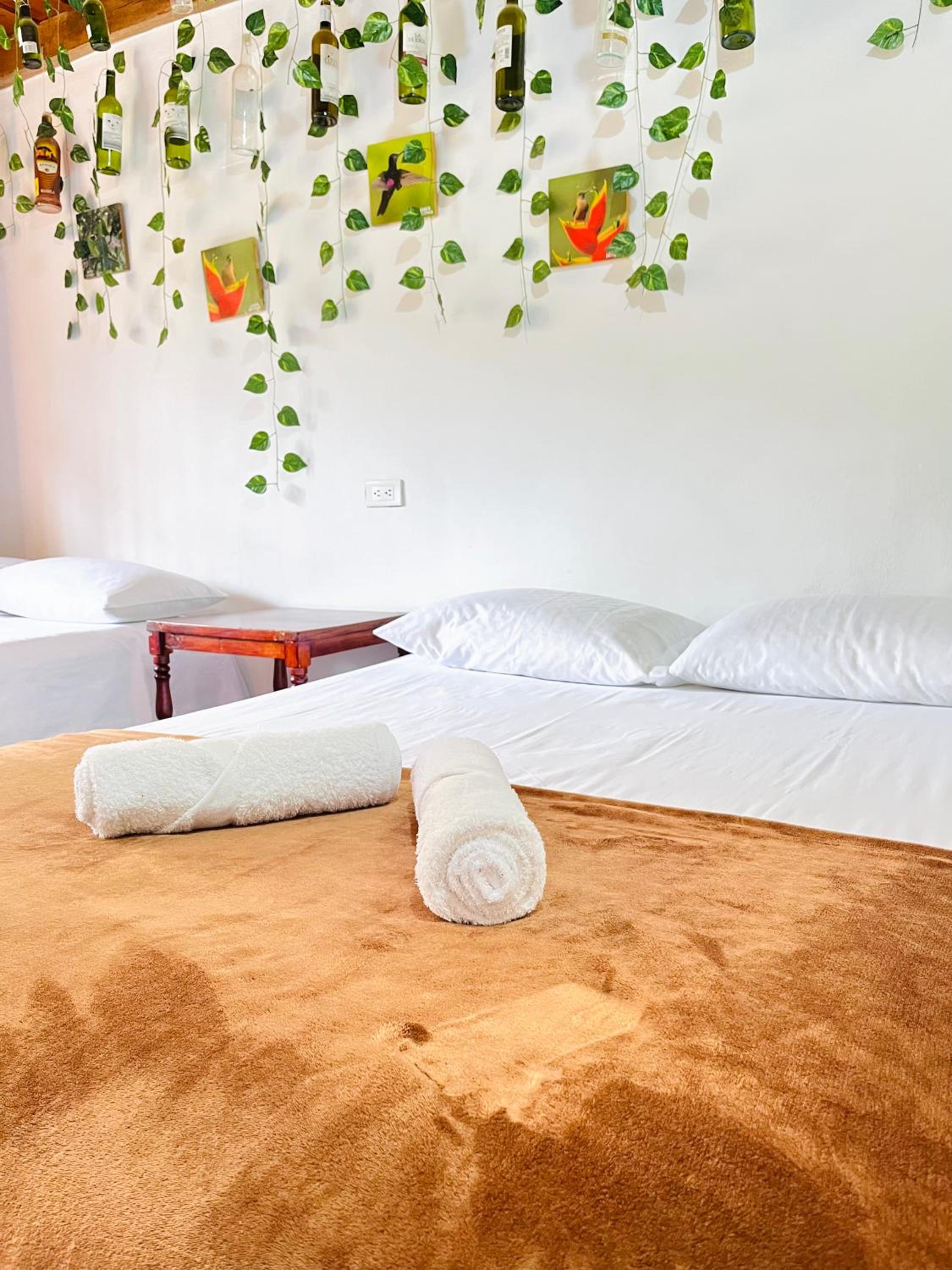 Casa de las Rocas Hostel - Property Image 20