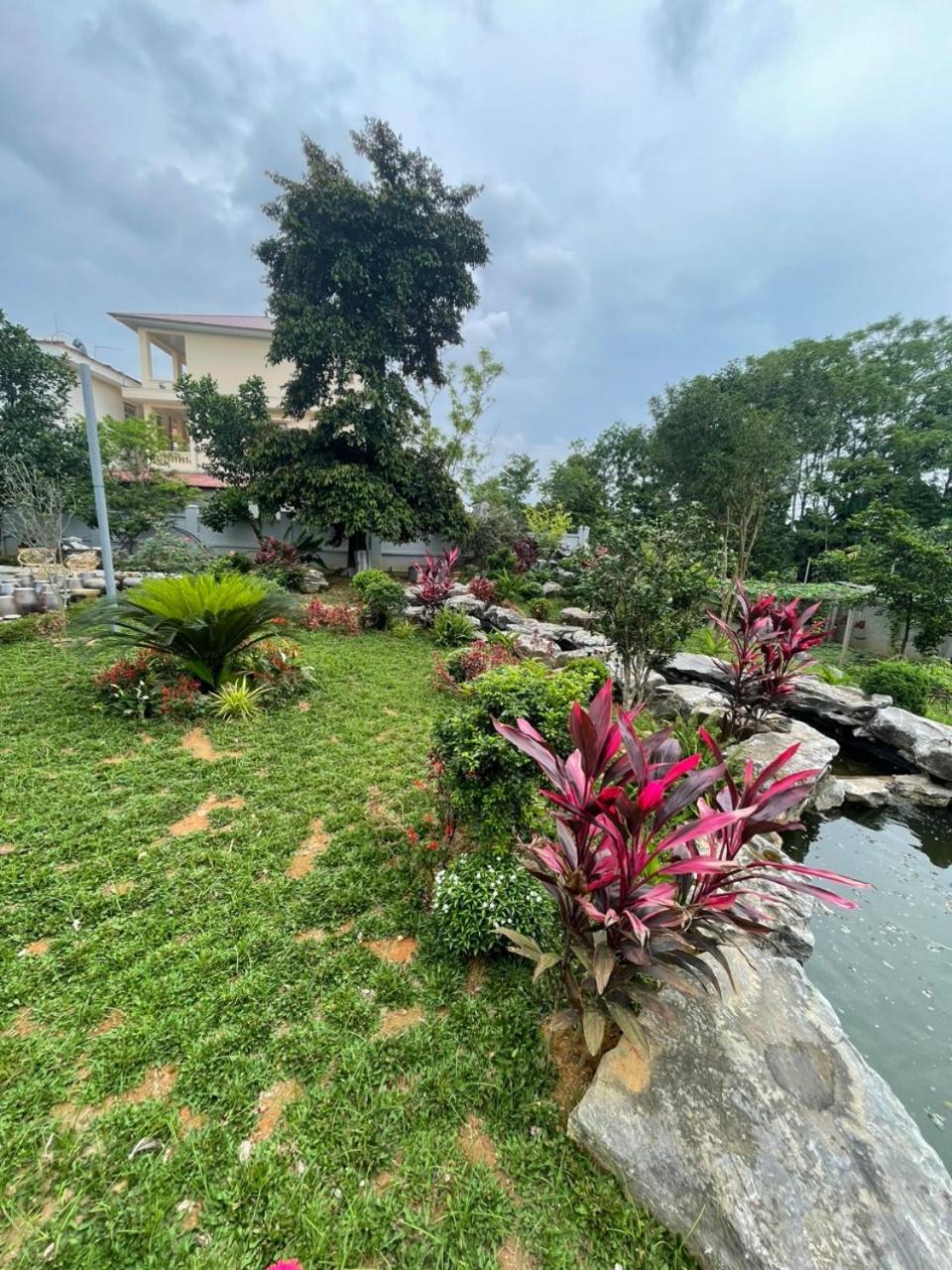 BinhLan Homestay