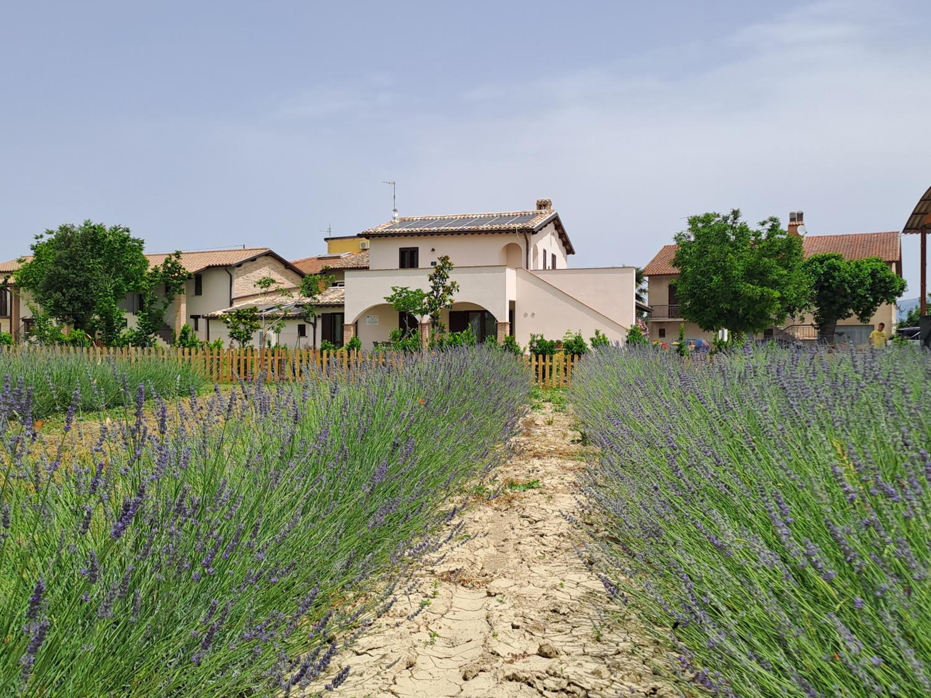L'Antico Fienile view 3