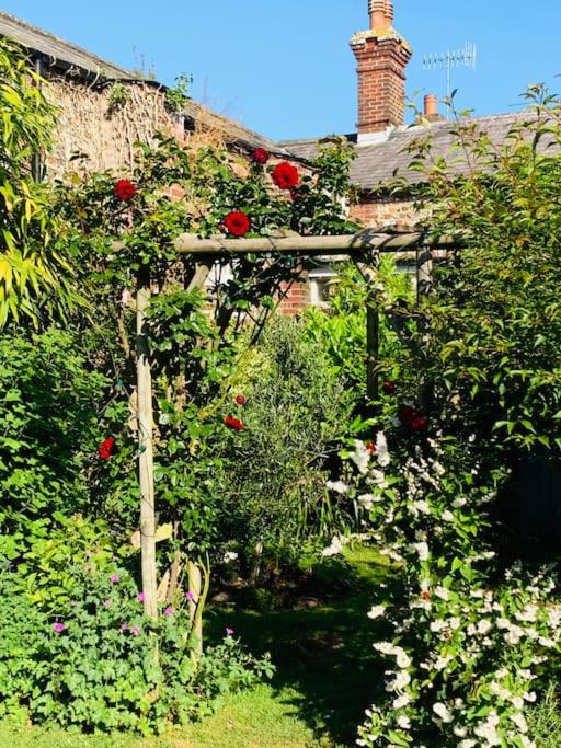 Beautiful 18th century cottage in Arundel view 4