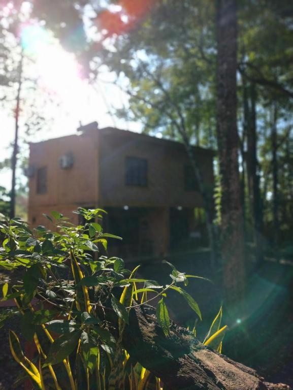 Six Garden Lodge