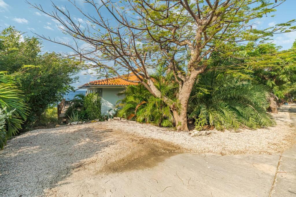 Cliff Cottage- Vacation villa with breath taking sea view