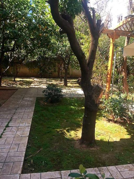 Cozy Garden House in the center of Glyfada