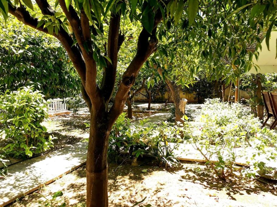Cozy Garden House in the center of Glyfada