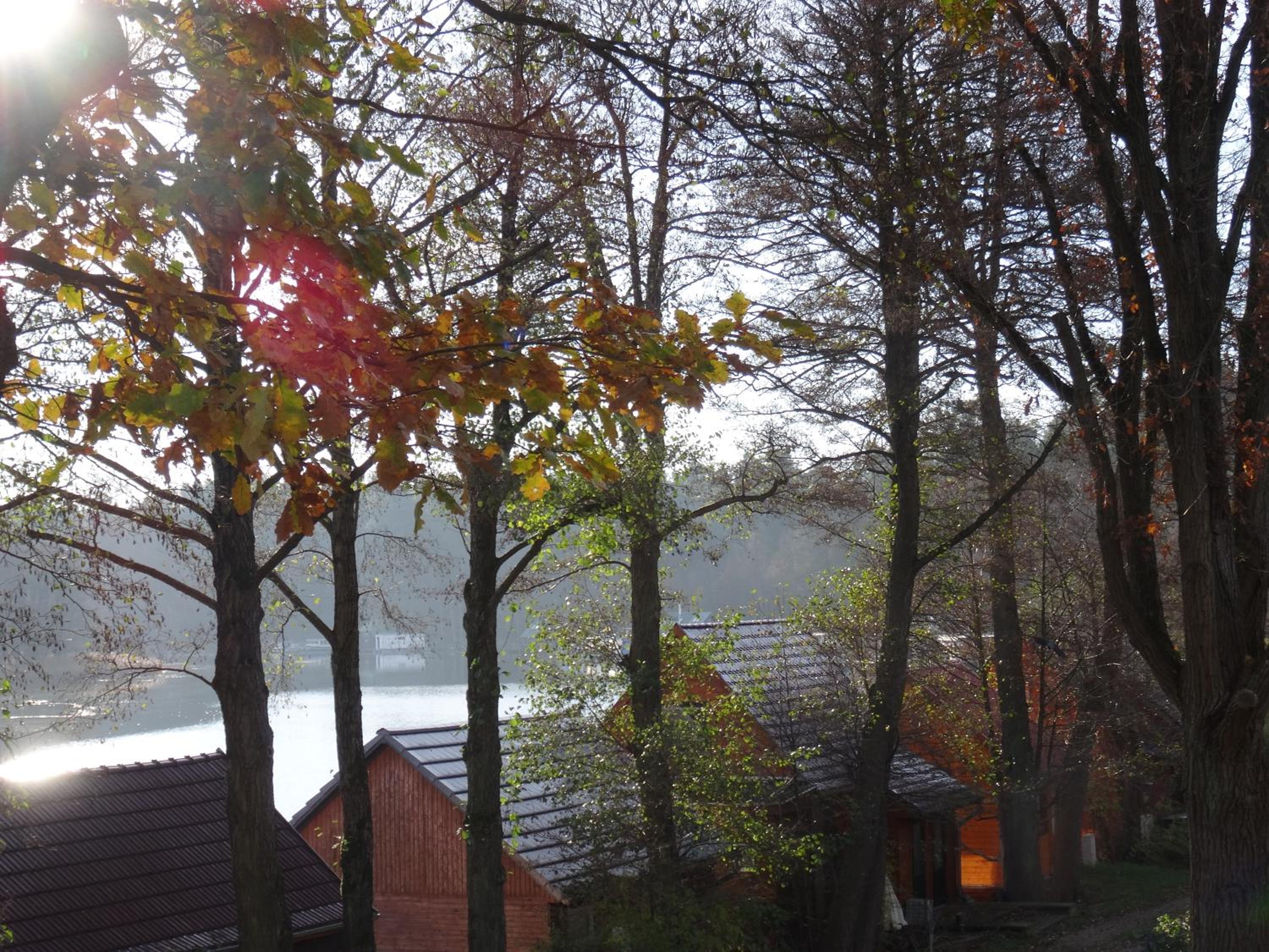 Ferienhaus Seeblick