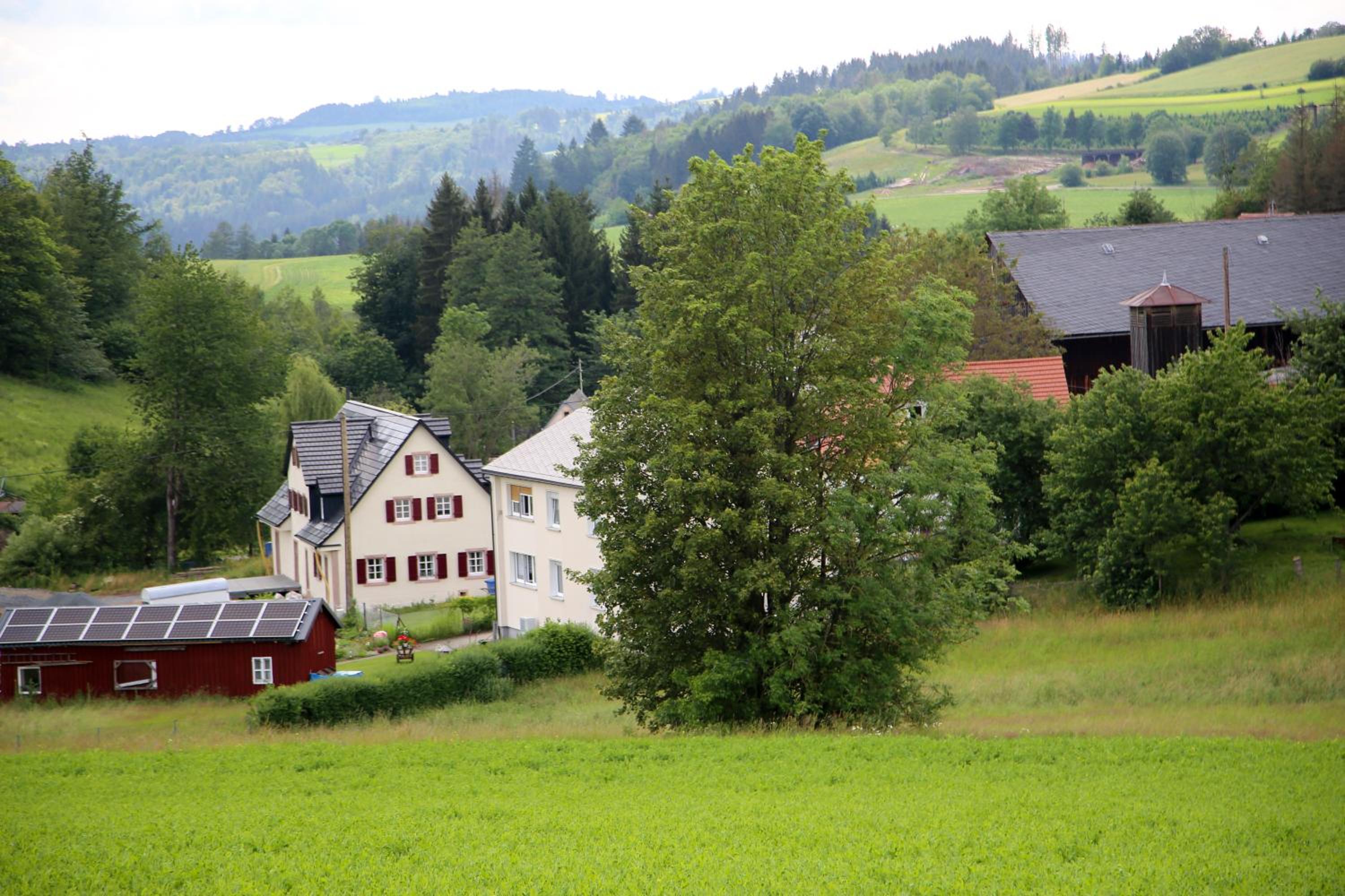 Pferdestall