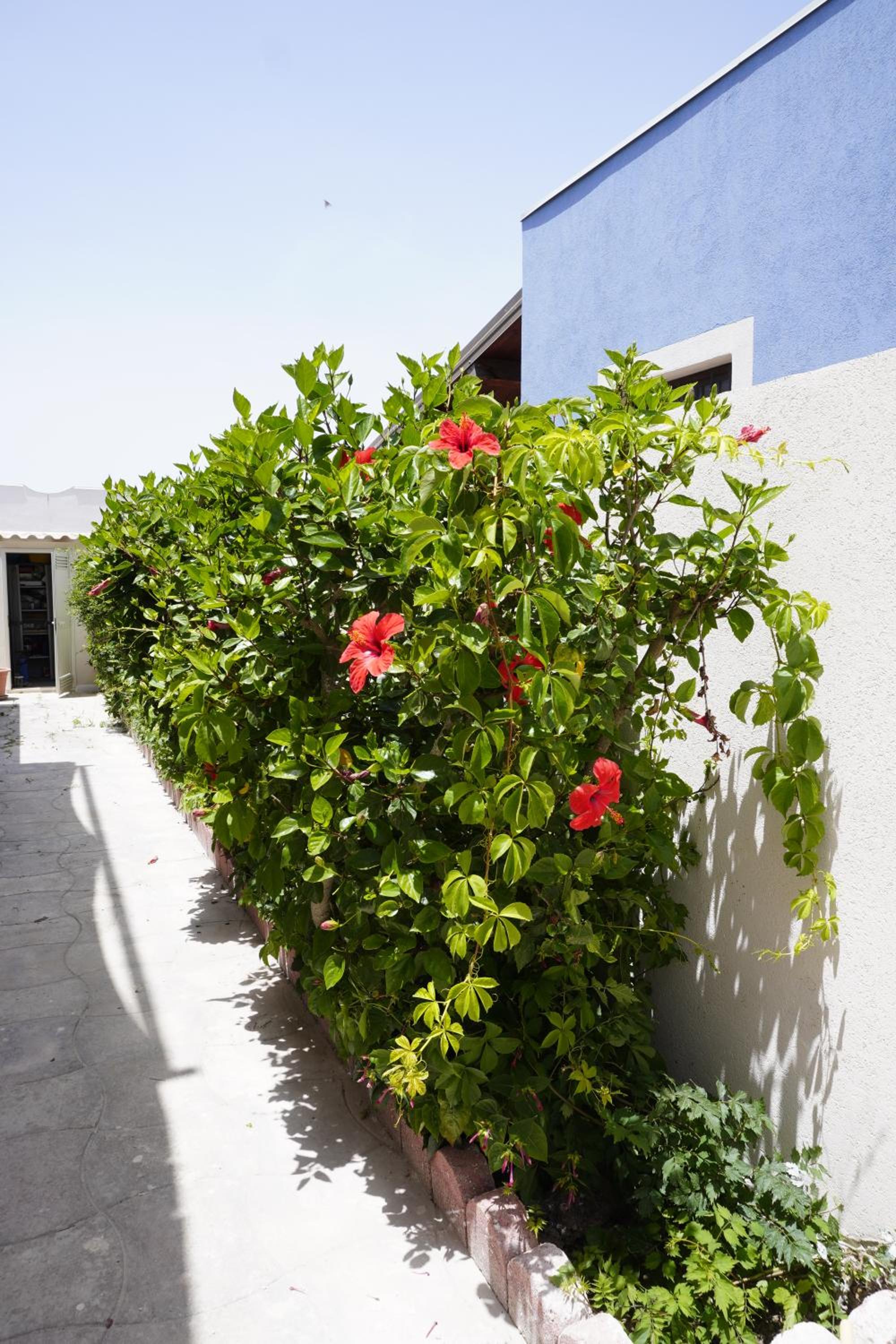 Monsant Casa Vacanze
