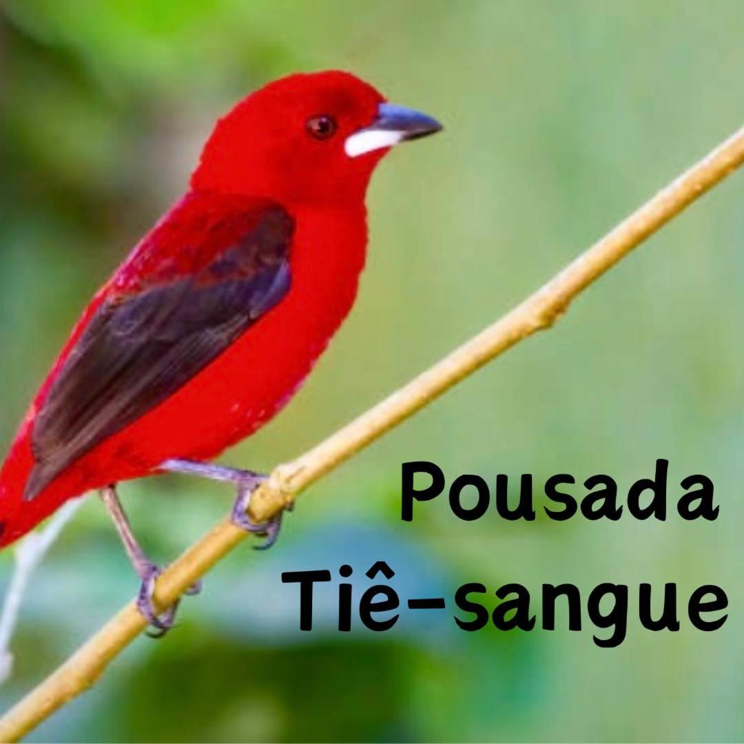 Pousada Tiê-Sangue