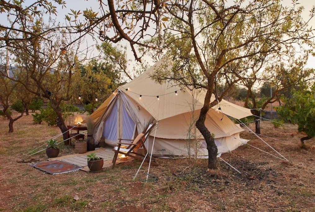 Finca La Madreselva
